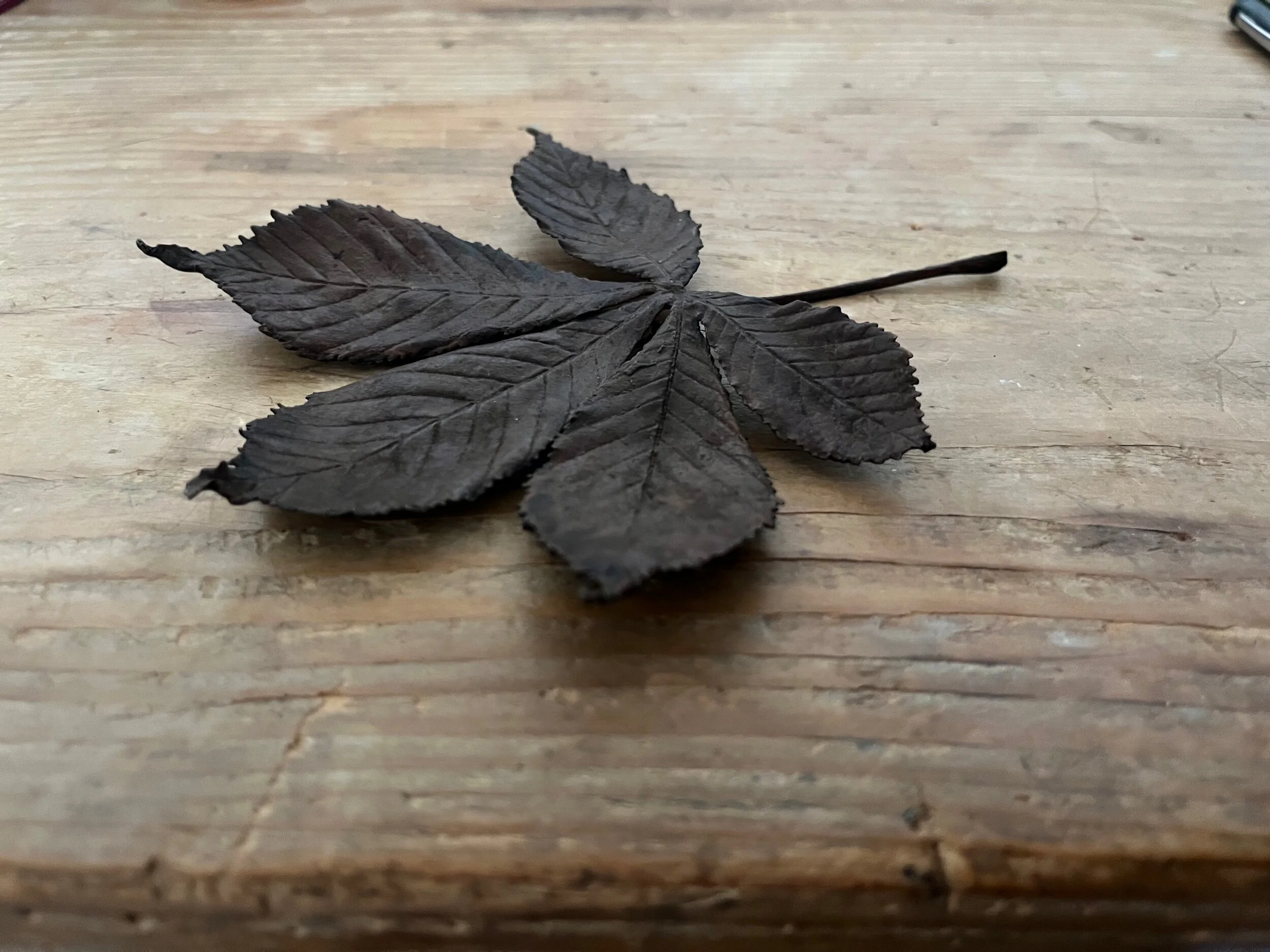 02F99DB5-0DBC-4615-B68B-D15DBAADA622