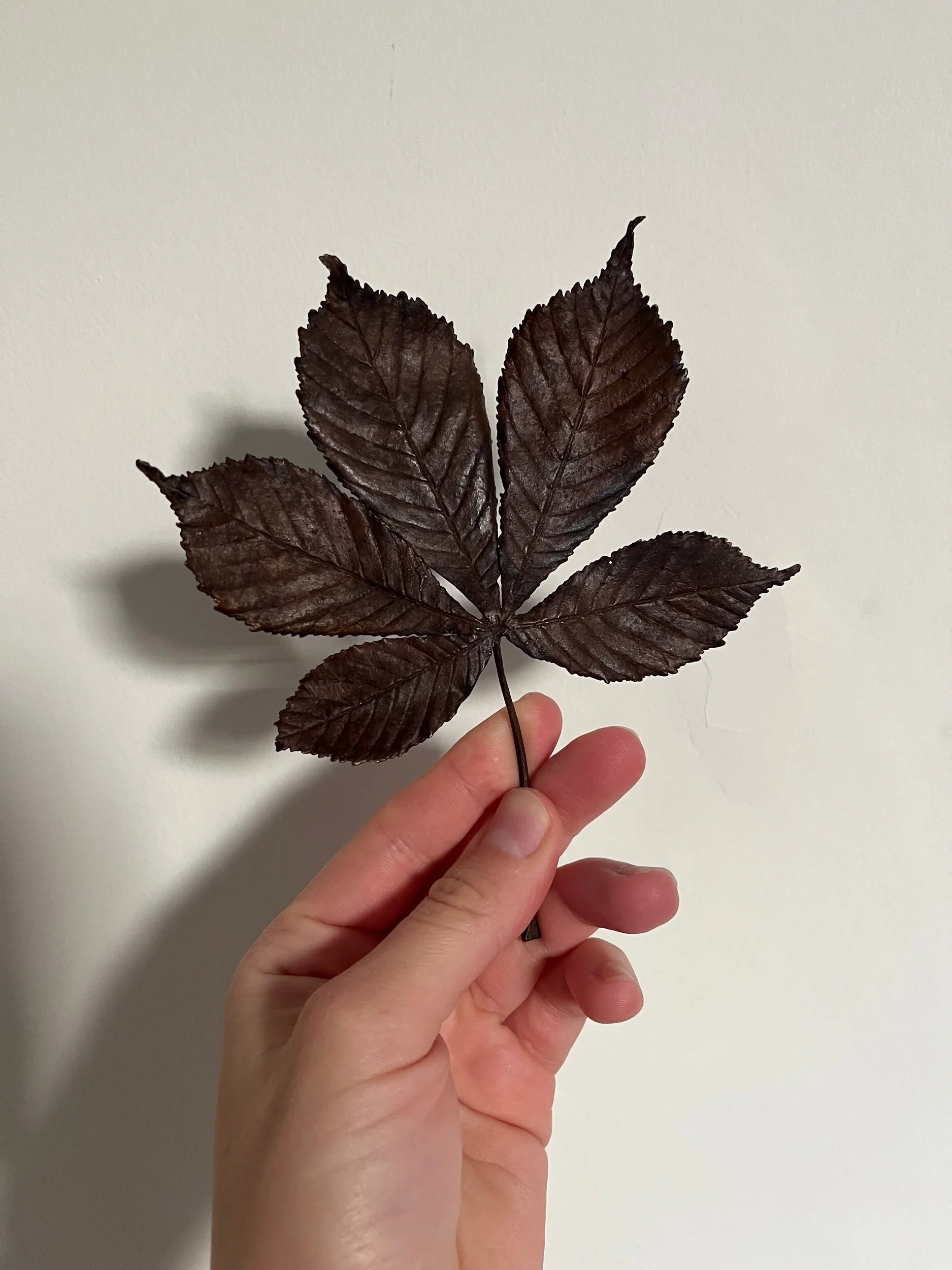 F39D37EF-FB4F-4721-BF3B-D2EB4703696A