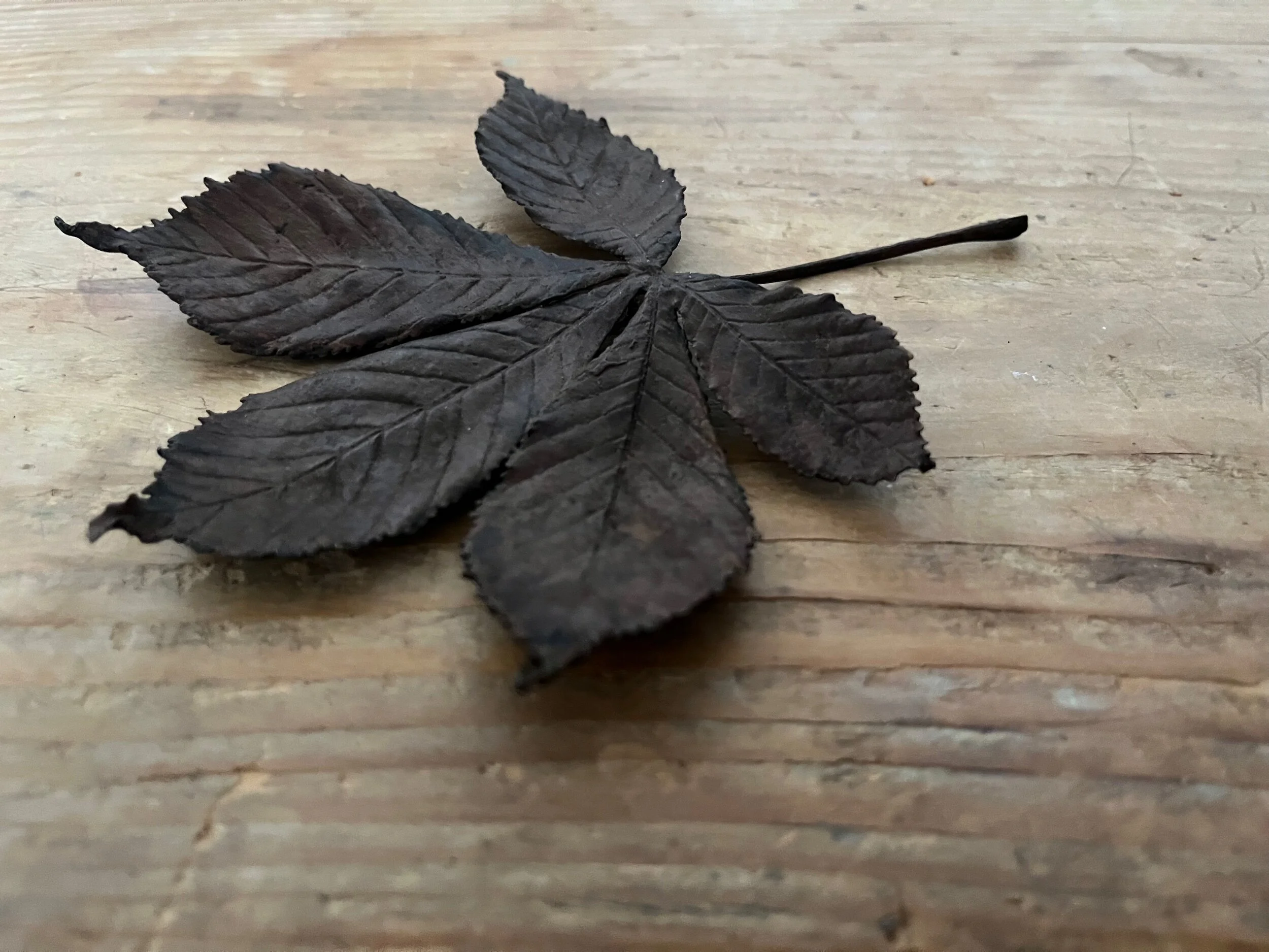 709CF10B-88BA-4C09-A72E-FE1ED41396B5