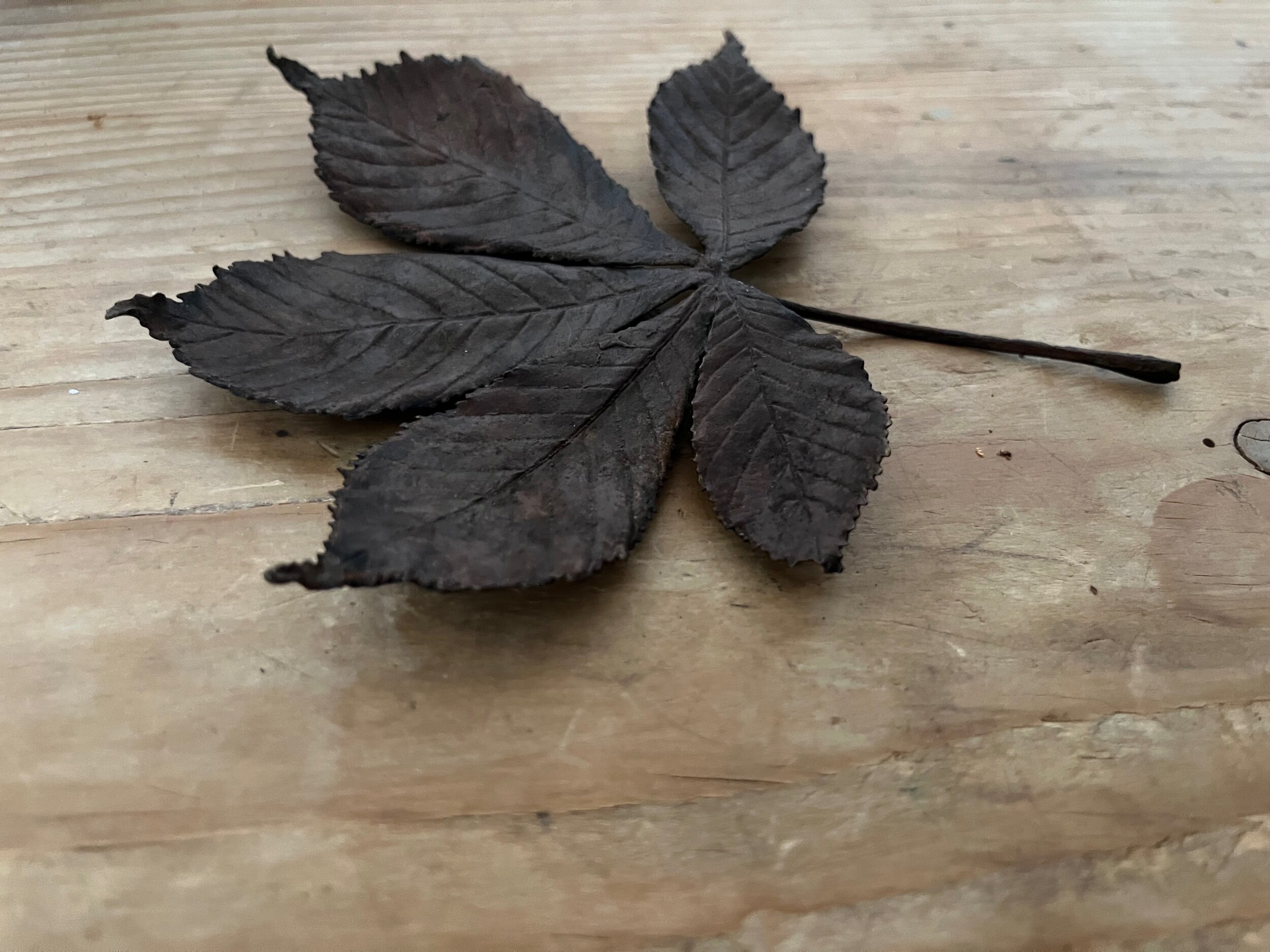 51A4CBC5-D38E-41B1-AA3D-258BEB46248E