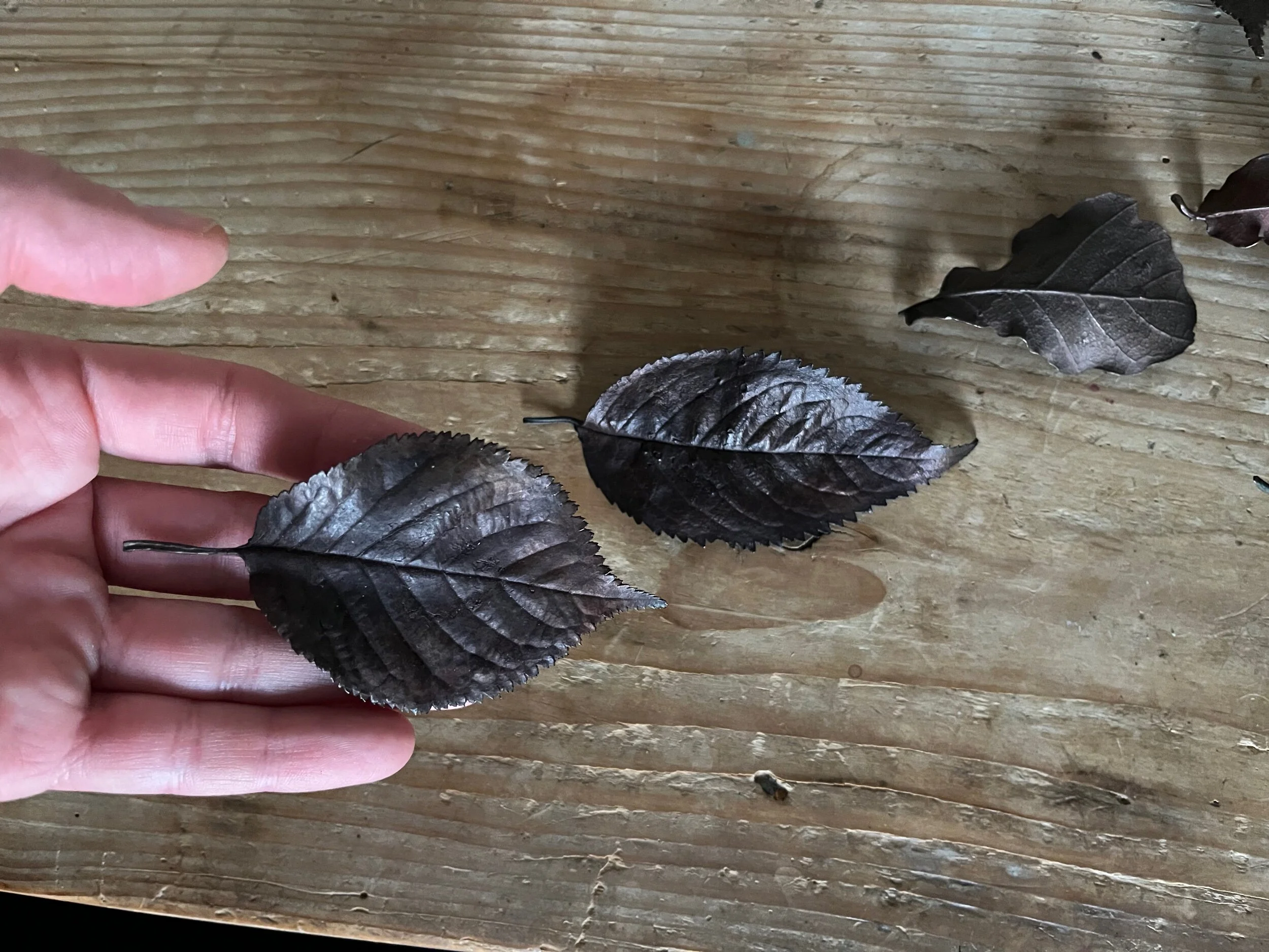 B6A0C55C-280C-4F38-92AE-BEB3DA5C6A01