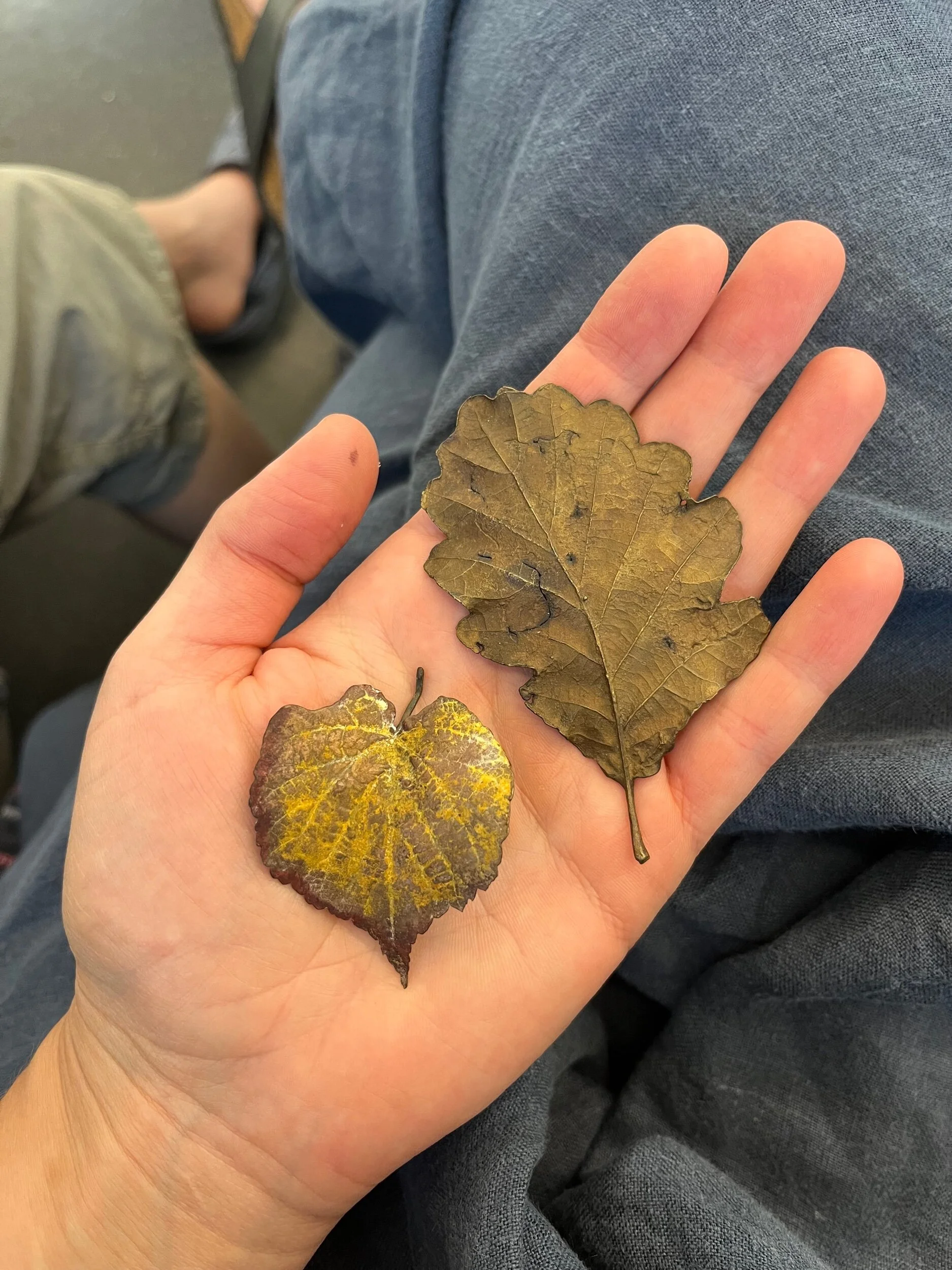 9D2144C8-4CA5-4BFA-A7B5-888418EDEBB6