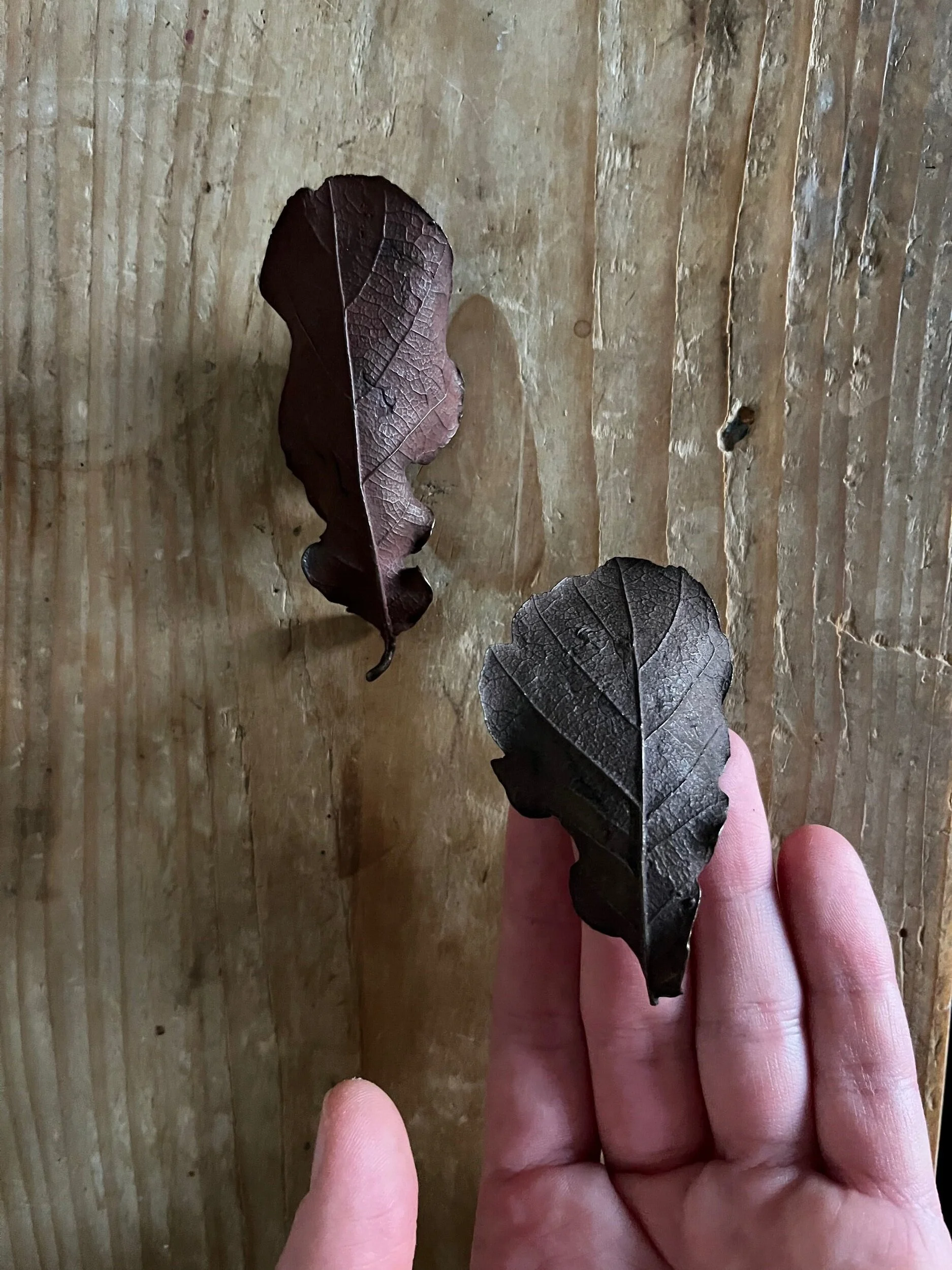 59CBE7A2-9B09-46E6-A331-871A244A4CE8