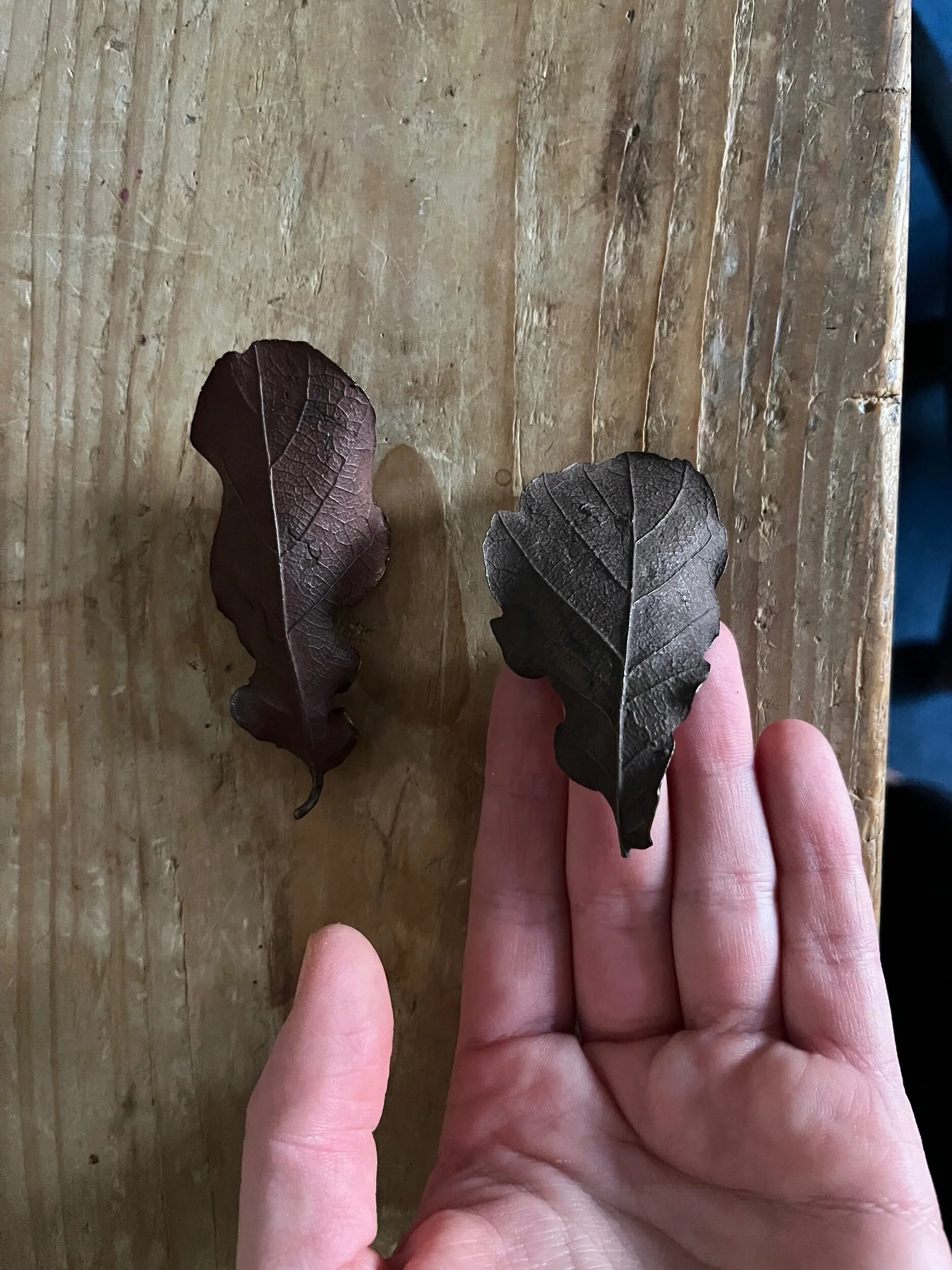 DA4FE313-E9E4-44A1-A457-23838FA18341