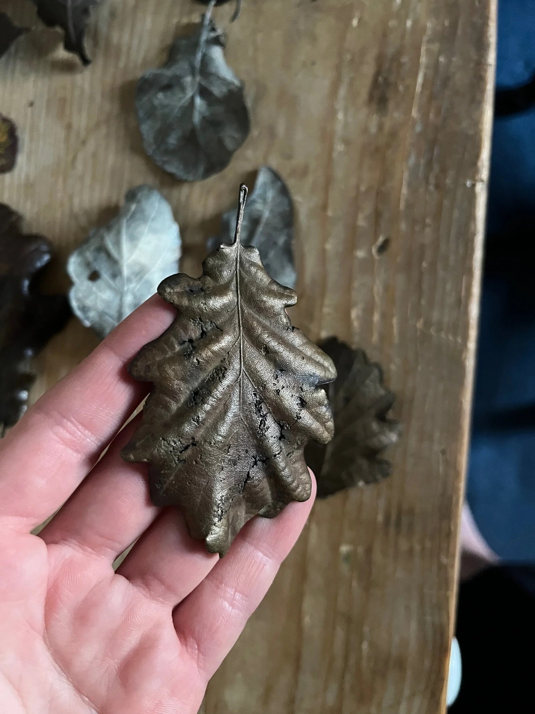 50B29891-36A3-4E1B-918D-6A76DAB7BDDB