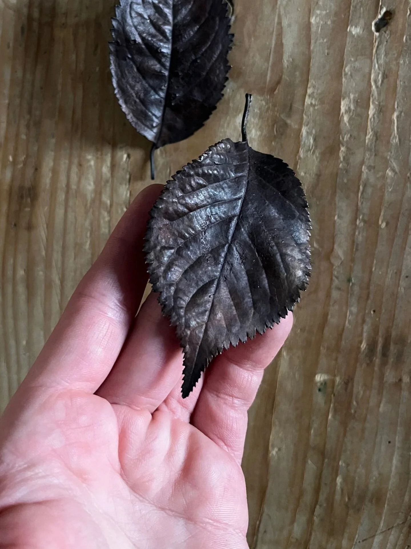 8CC757AE-0663-488E-B84C-2F68CB8D1605