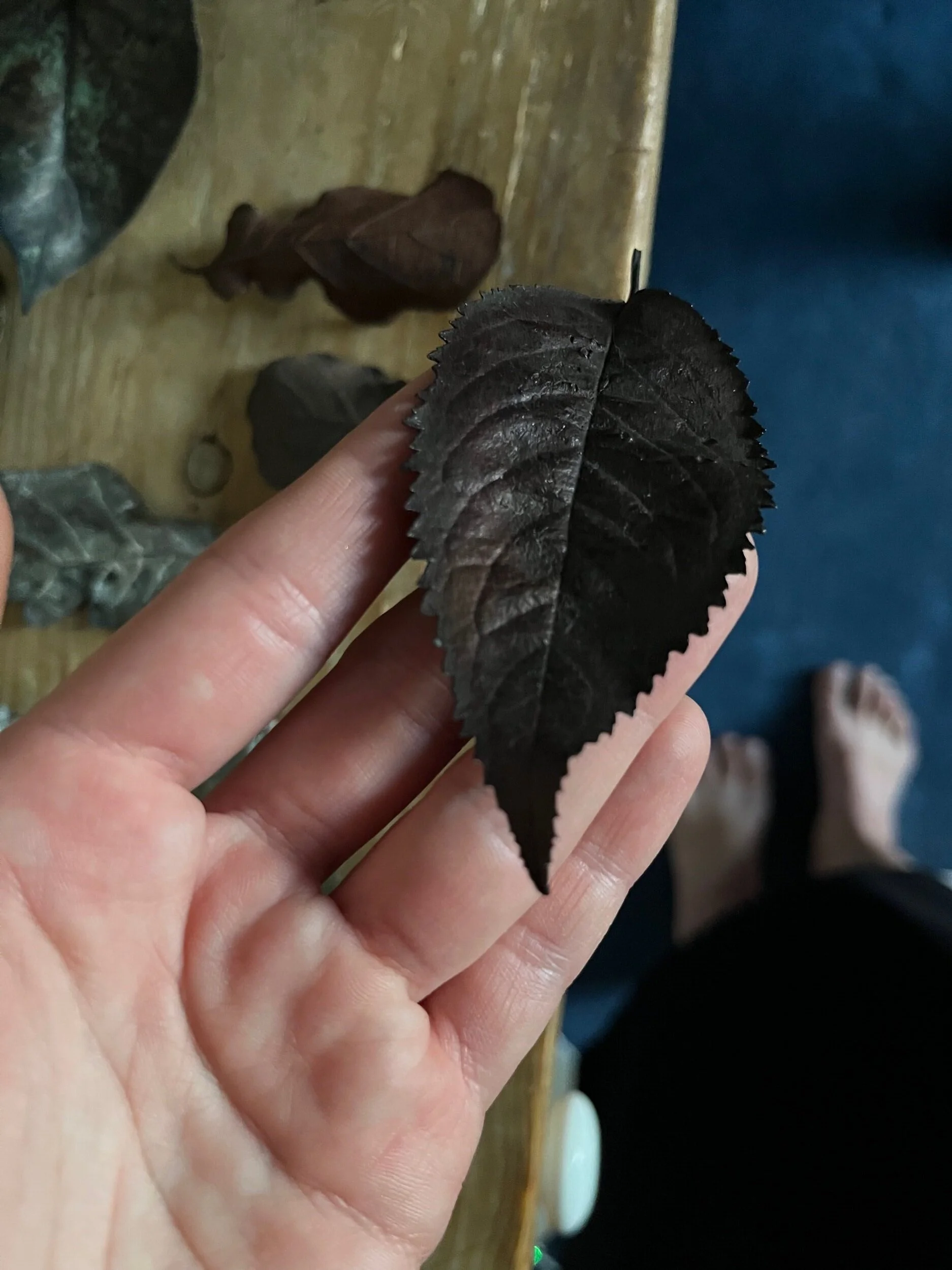 74004D32-FC57-4619-946C-6E81EC9F42A6