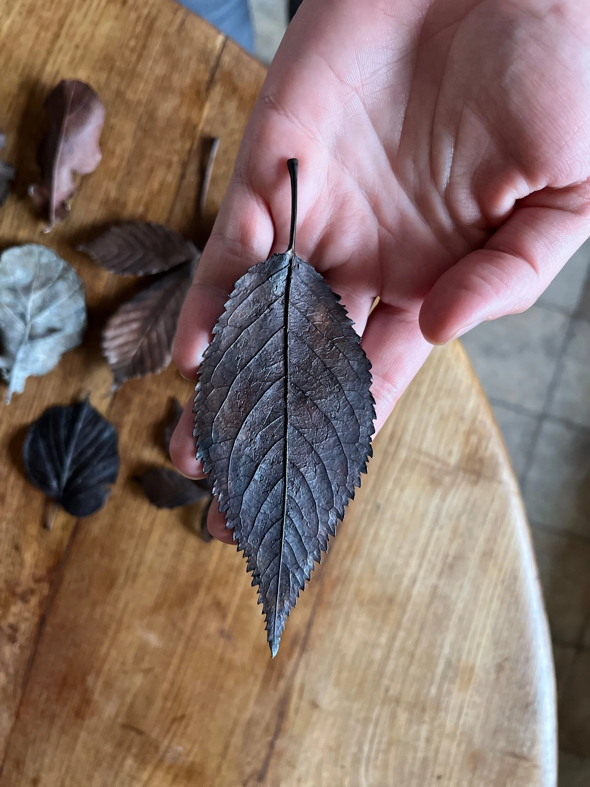 C0C2FE02-6827-4ABC-9BD1-86E5937F4584