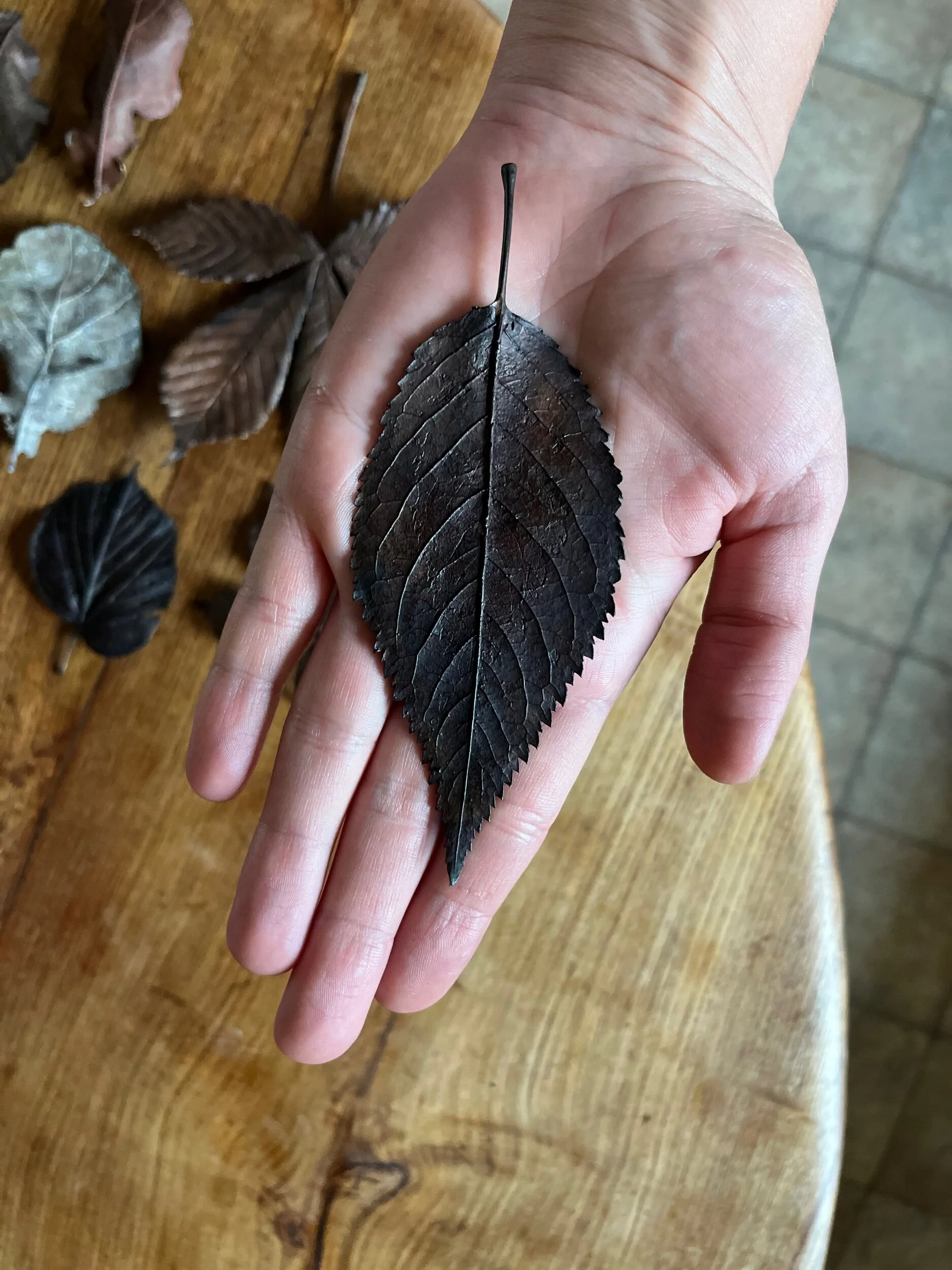 69B21594-78A2-46CC-A9B5-476D0B2CD95A