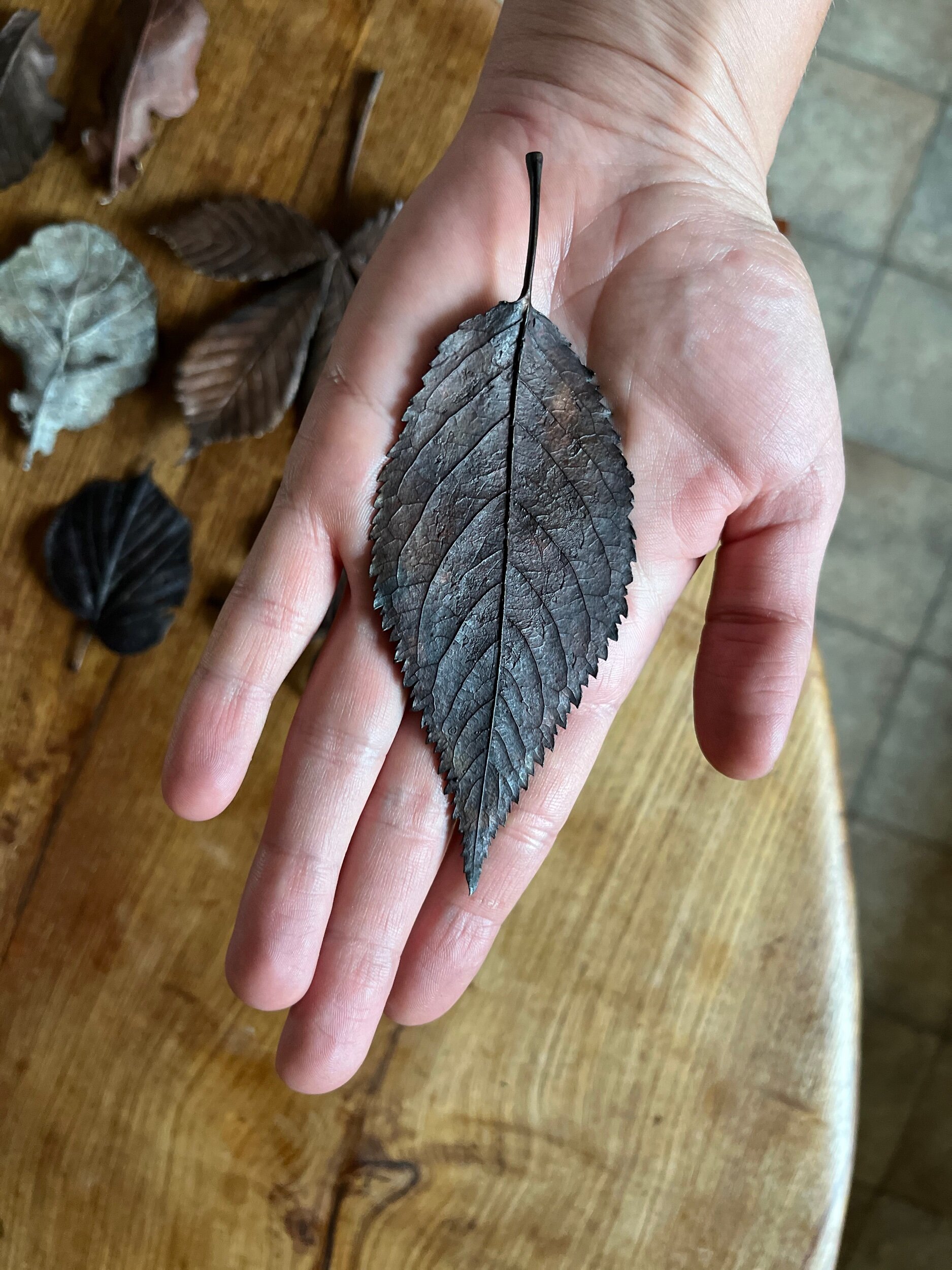 C772E343-5272-4FC6-8958-973C12DAFD57