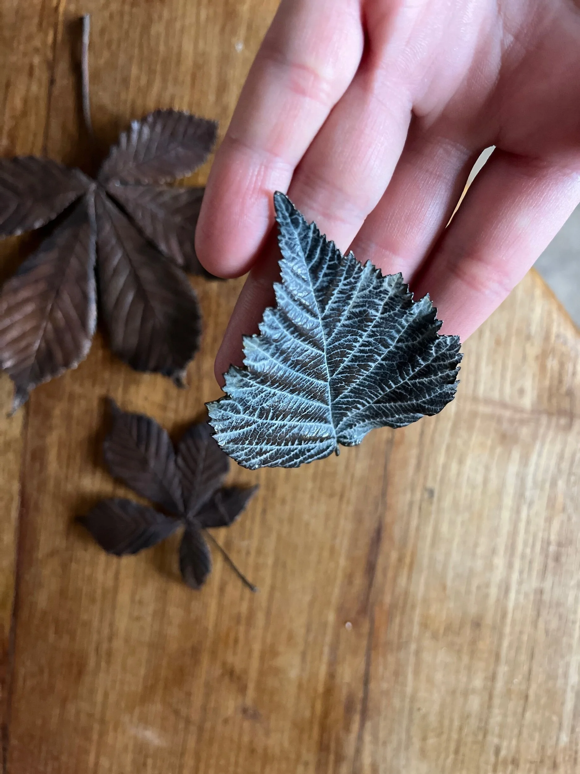 F1EF4DEB-1DCE-4F96-9106-6F7A7ABE24C7