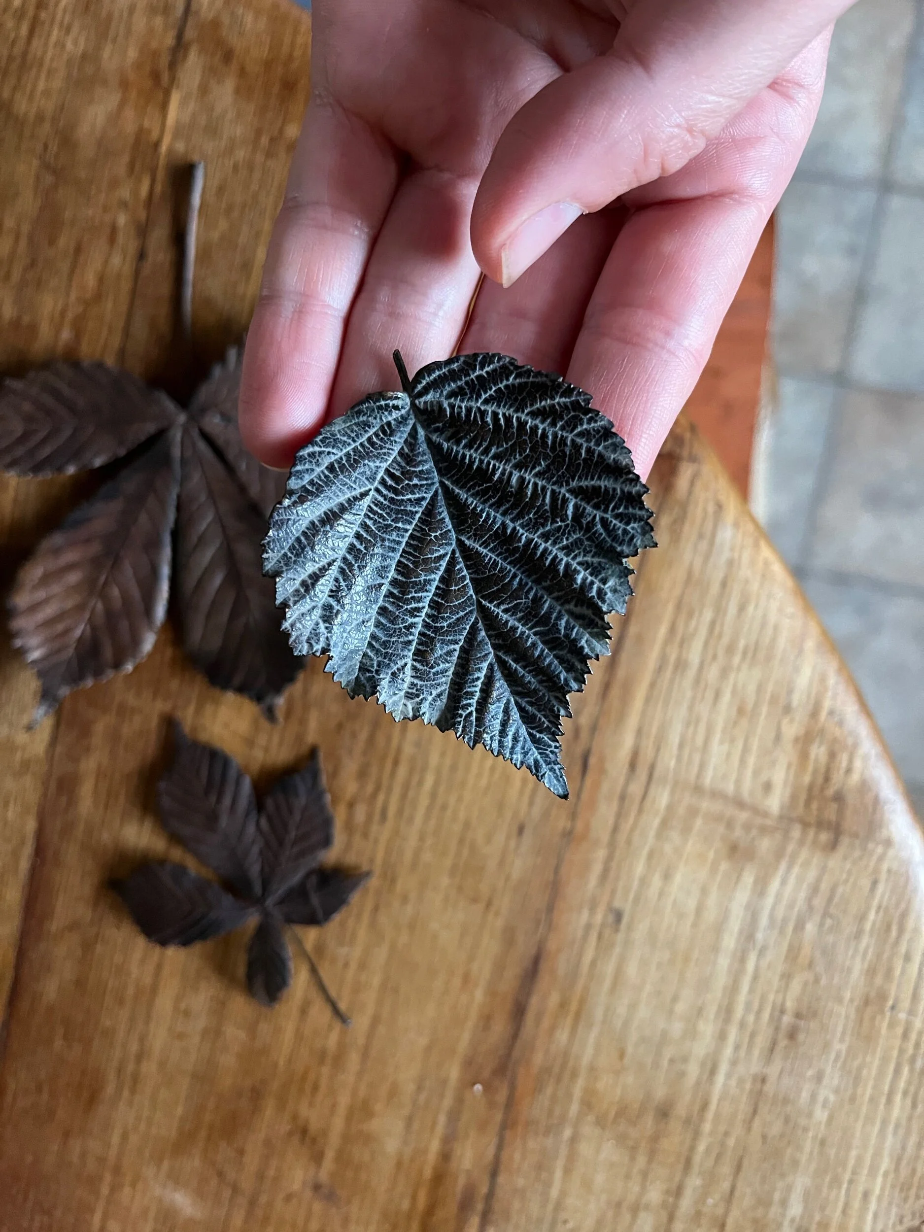 ABCC674D-454D-441B-9E41-20EAB4B9B671