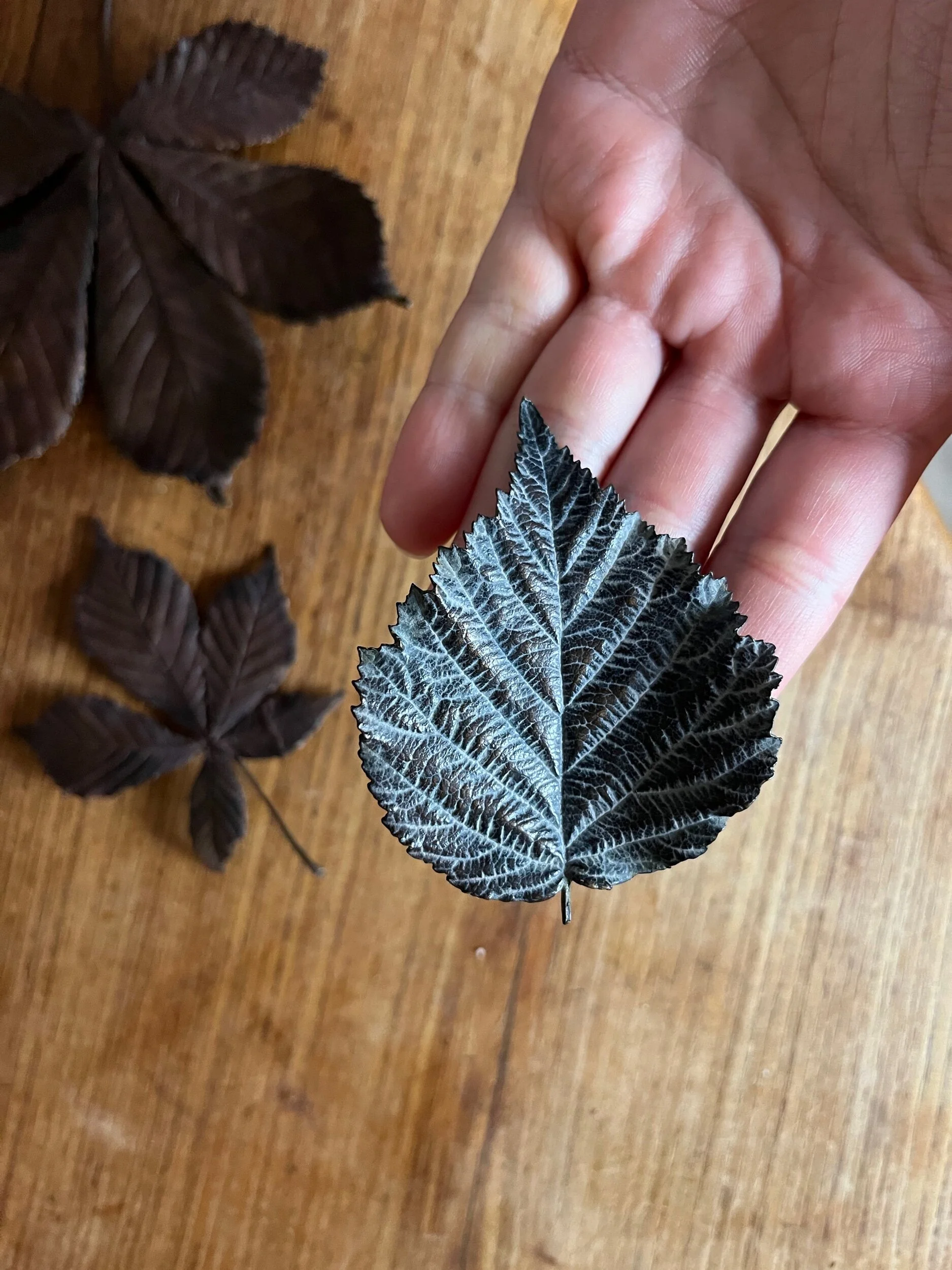 60D94E6A-D091-4416-ADD8-8BCD1D7E12AB