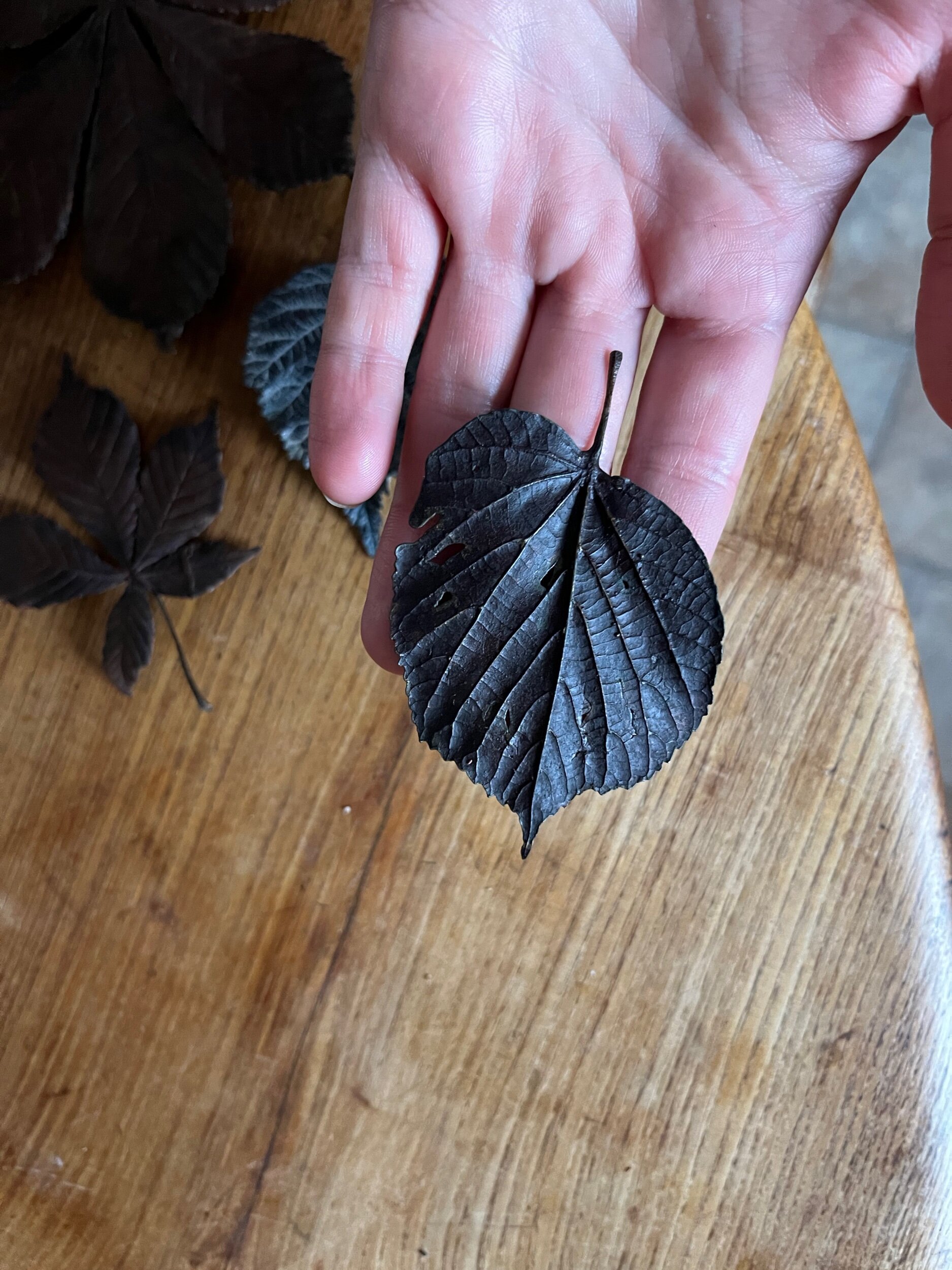 CB7B55B6-E26D-4D13-BBA4-7BADAE79C4A6