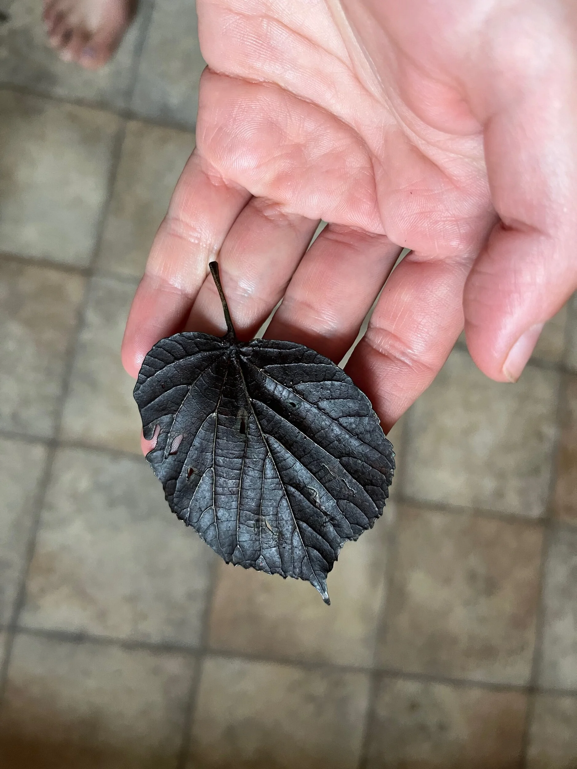 898096FE-1184-4BDD-861C-9A81B41B1FE8