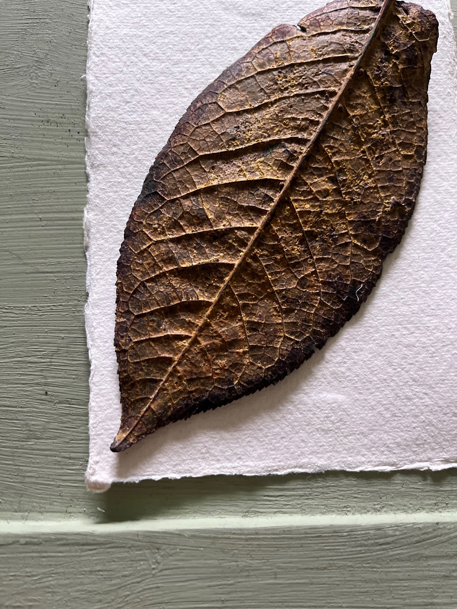 D956B8C8-EF81-4F48-B2FF-52C6863DD794