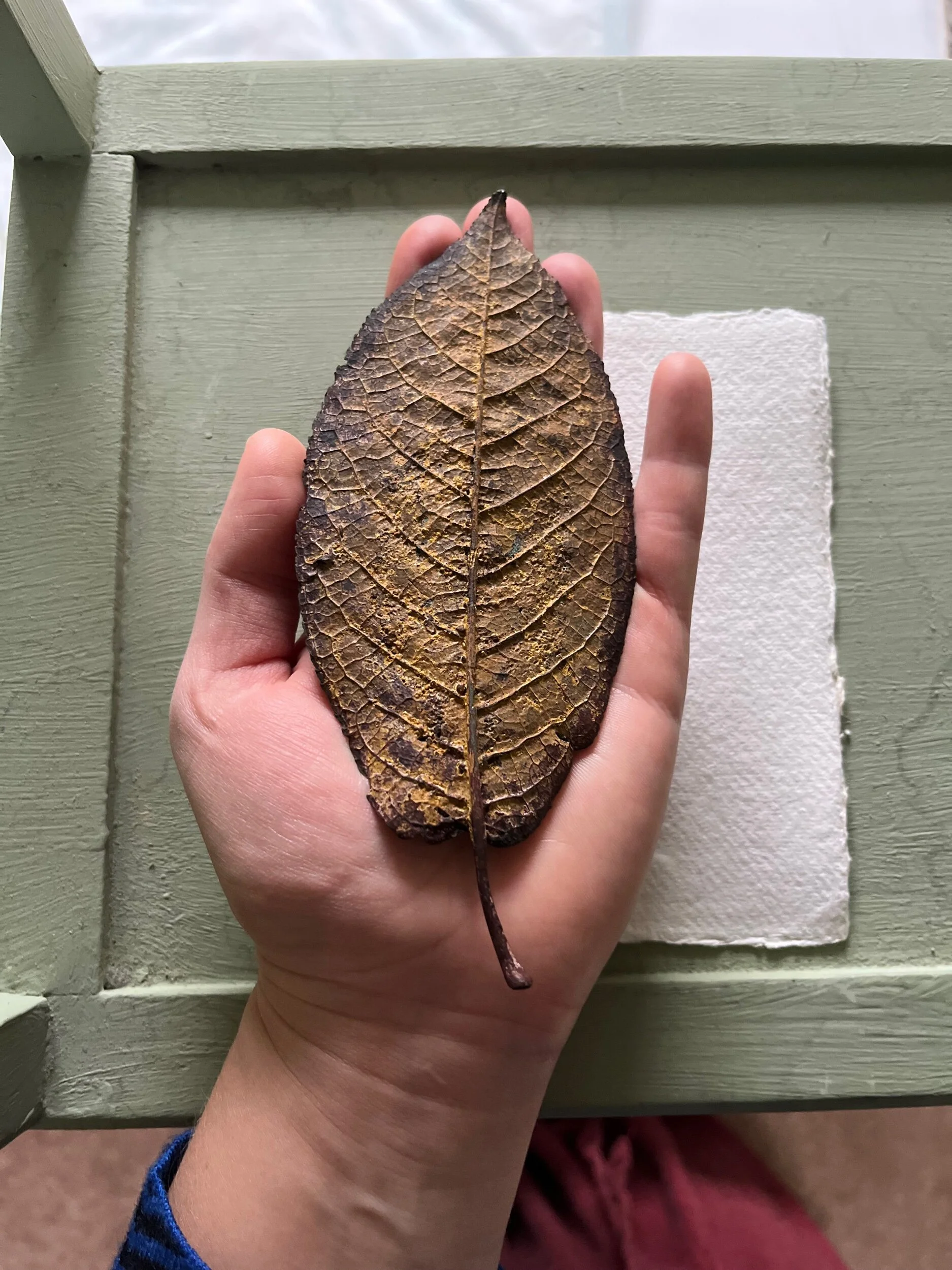 89E40230-66DD-48A4-BAB4-1012EB3009B9