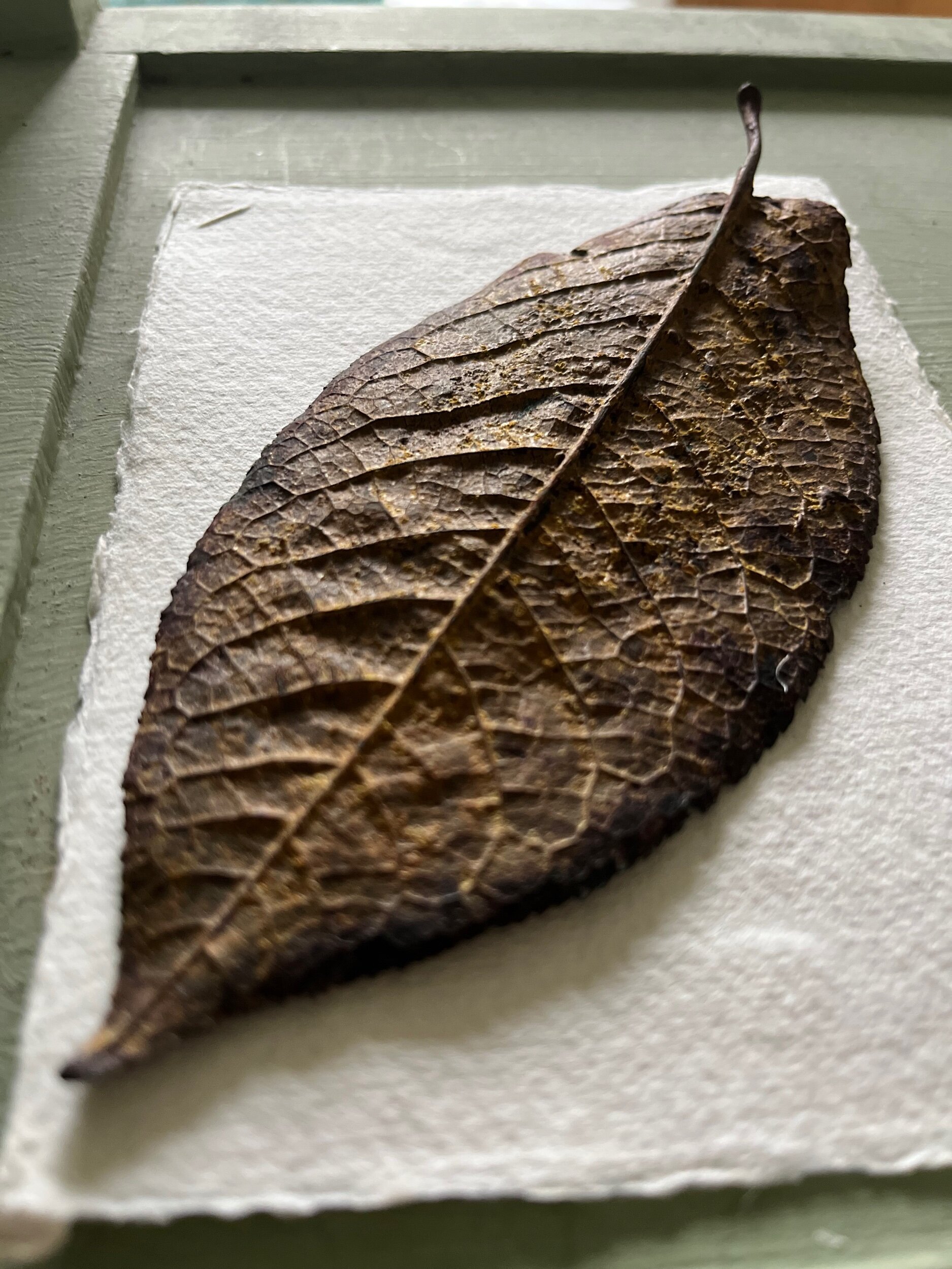 8320B788-FF44-4098-9BA8-E94E4EE5808A