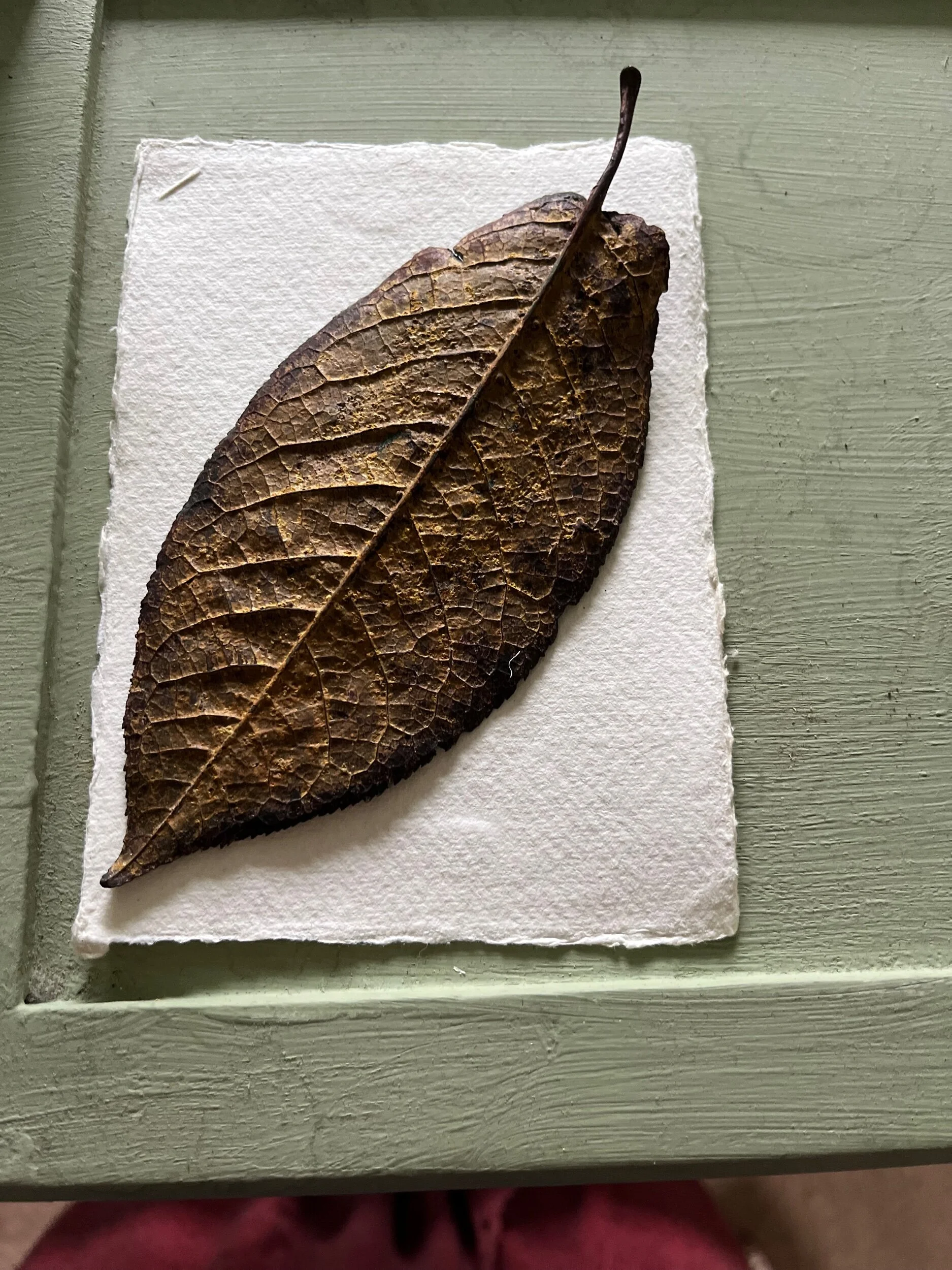 9F68A38E-5588-4BB7-A052-42FB779BE12A