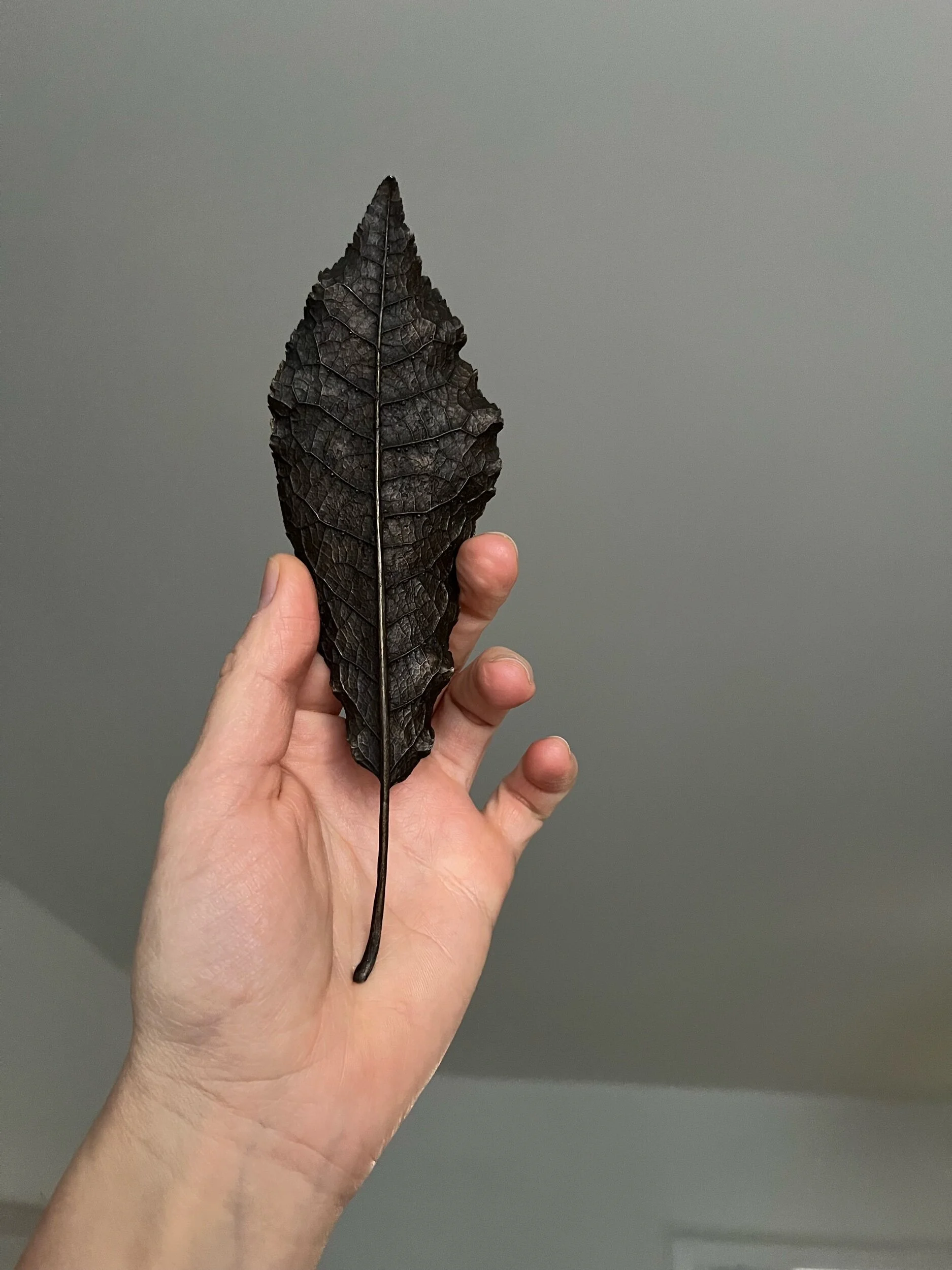 5FE9AEF8-385B-424D-A368-6025F5FBCFA2