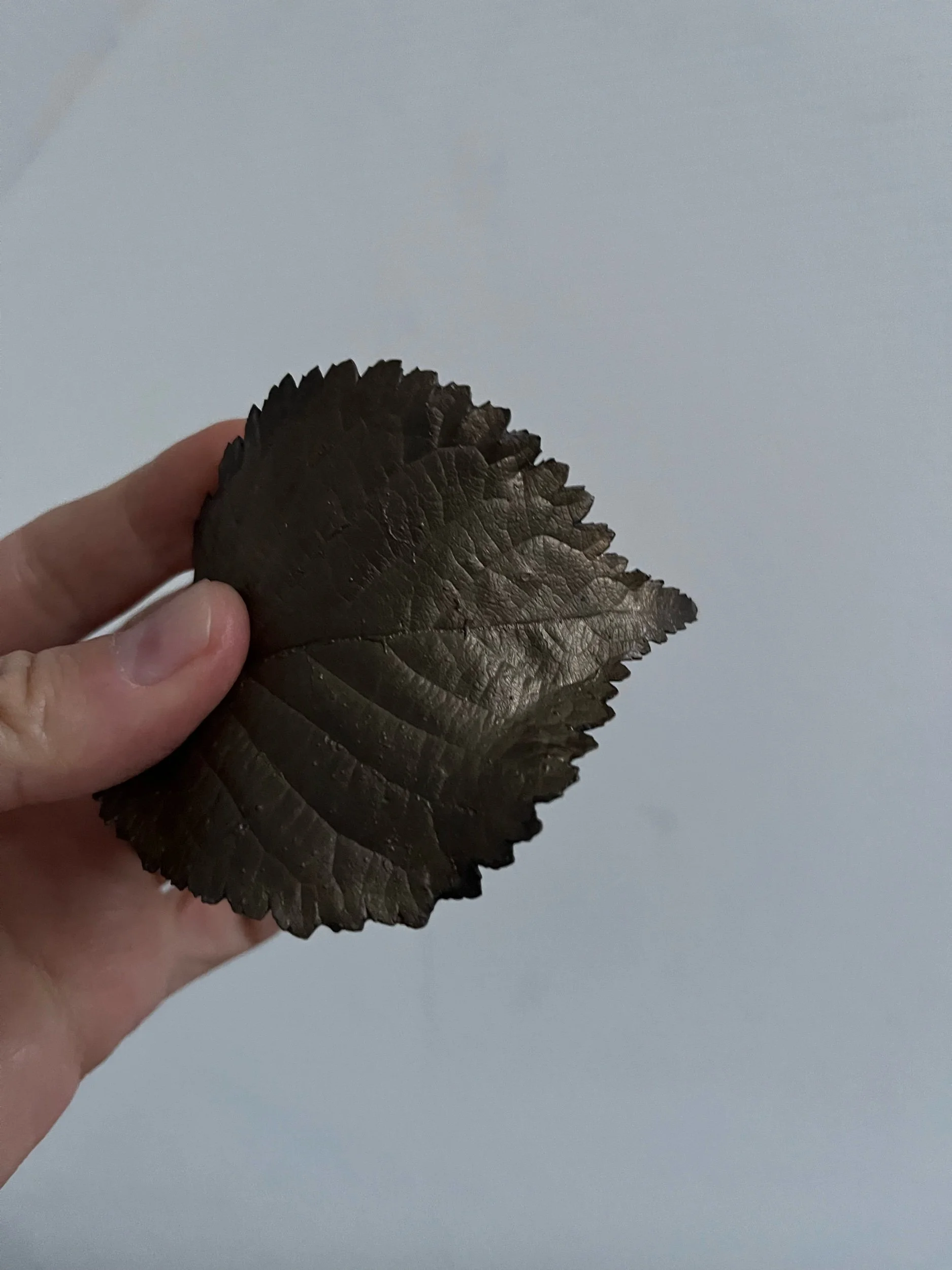 F7A99858-87AA-47F5-B33C-95503FA571B5.jpeg