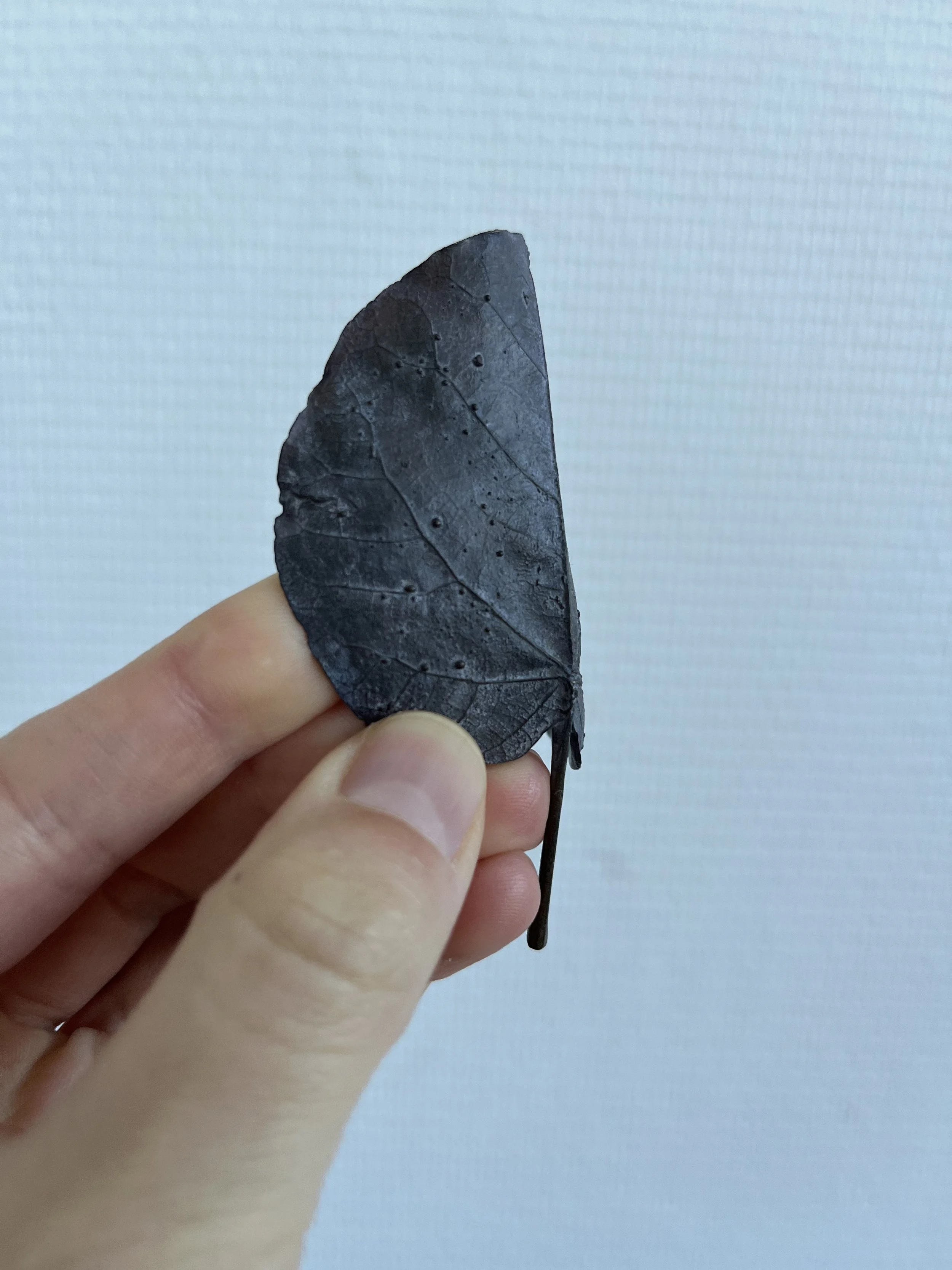 03_blue-leaf_judas_02.jpg
