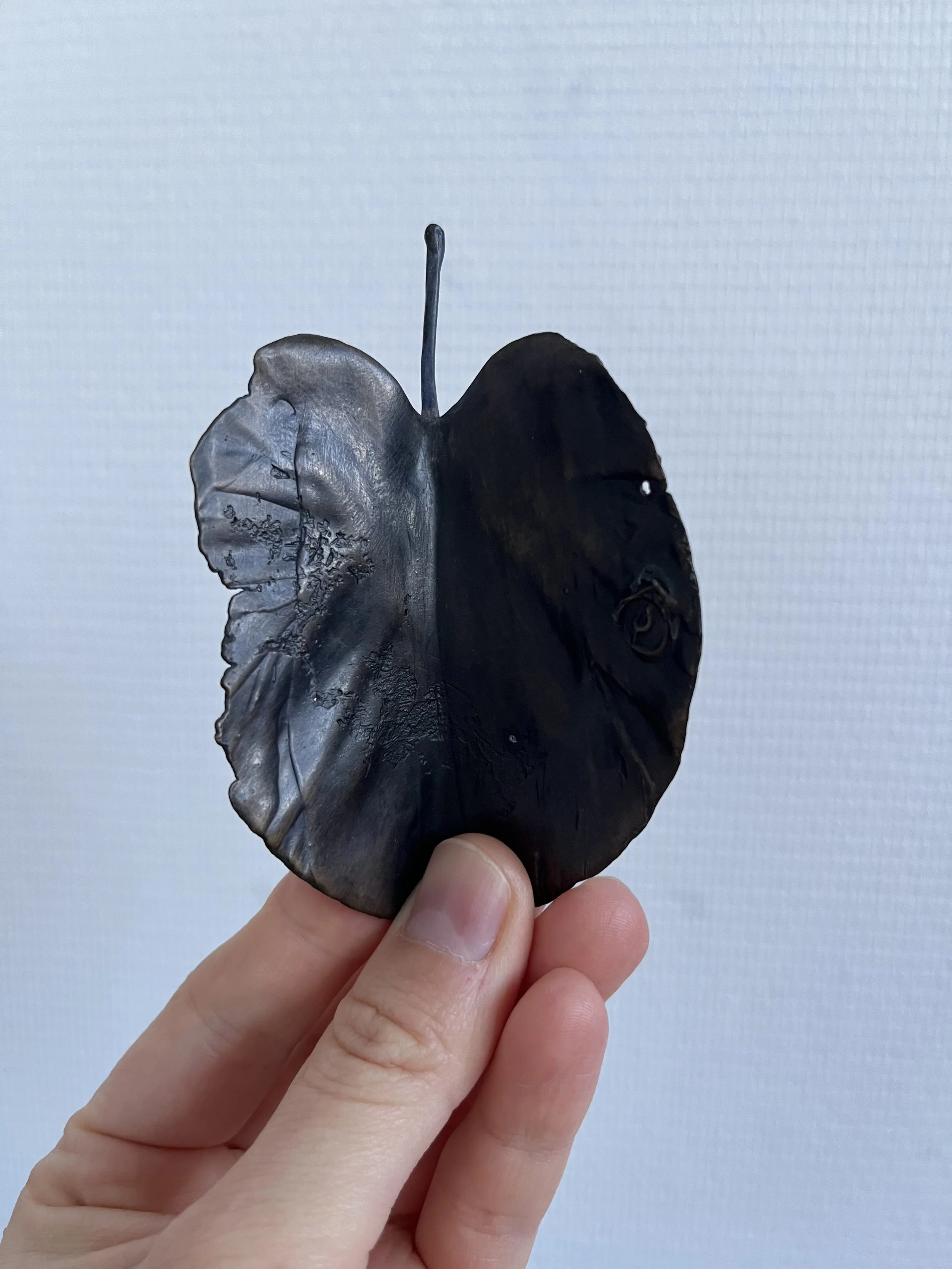 04_blue-leaf_judas_04.jpg