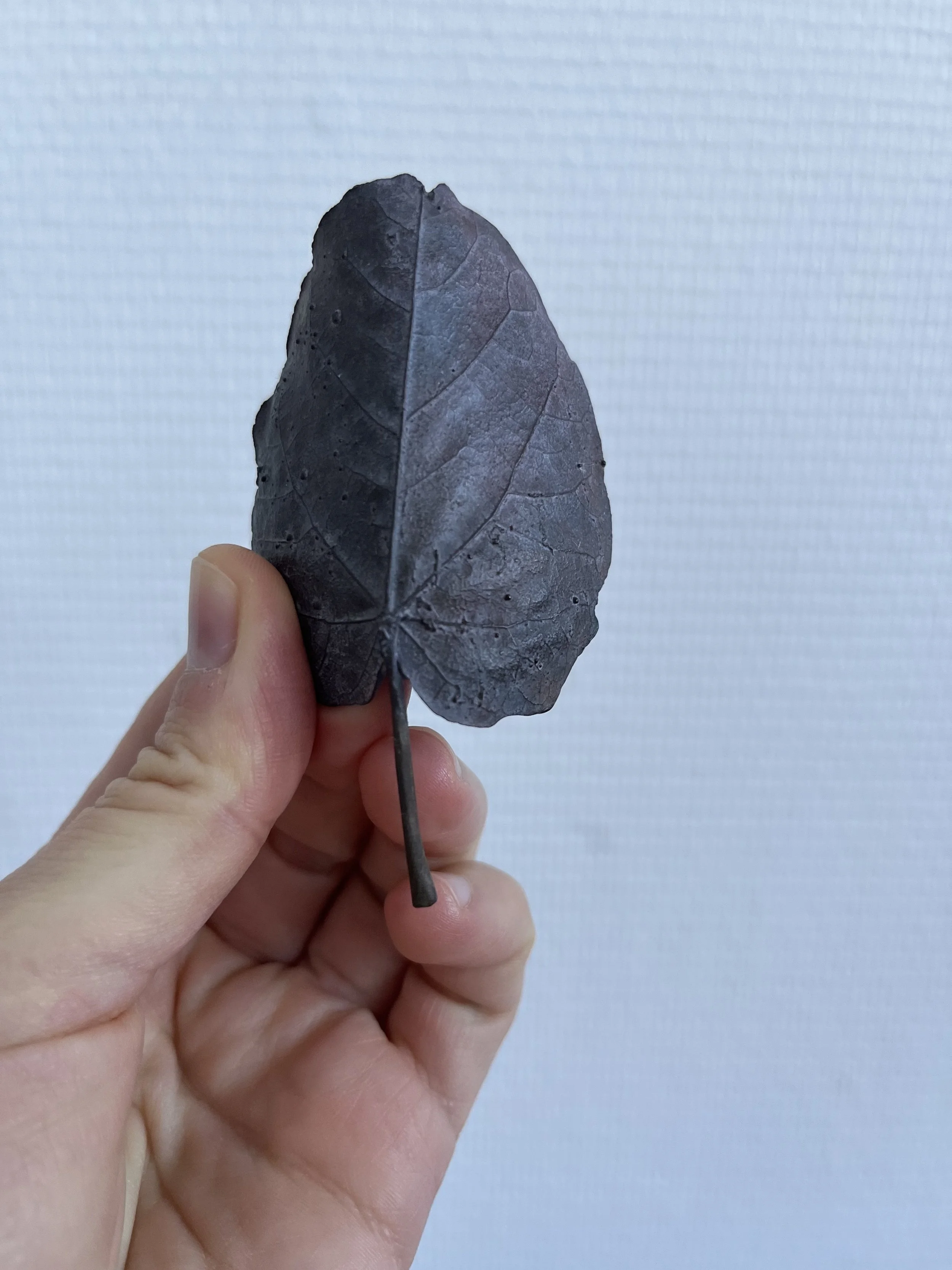 03_blue-leaf_judas_01 .jpg