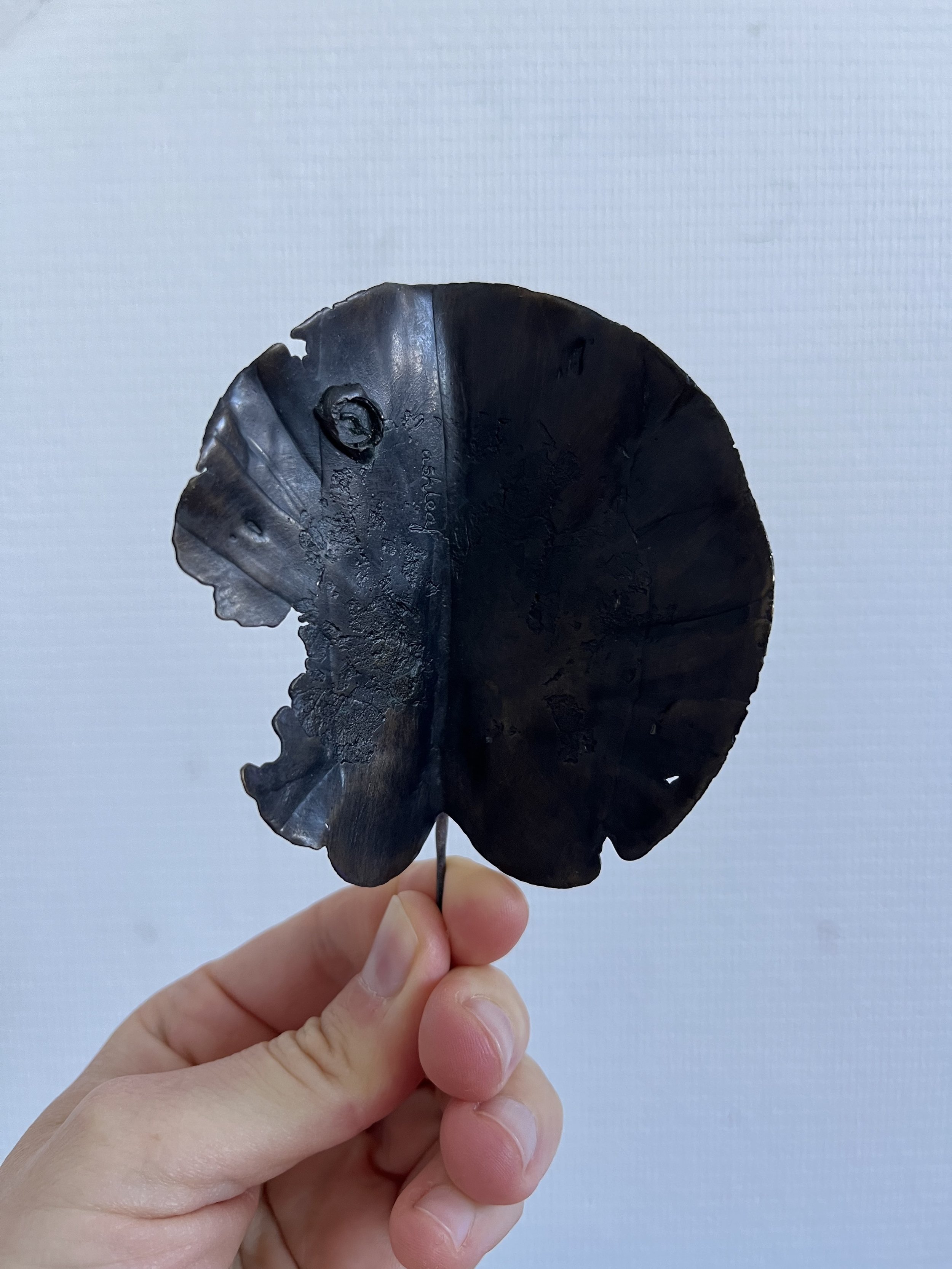 08_blue-leaf_judas_07.jpg