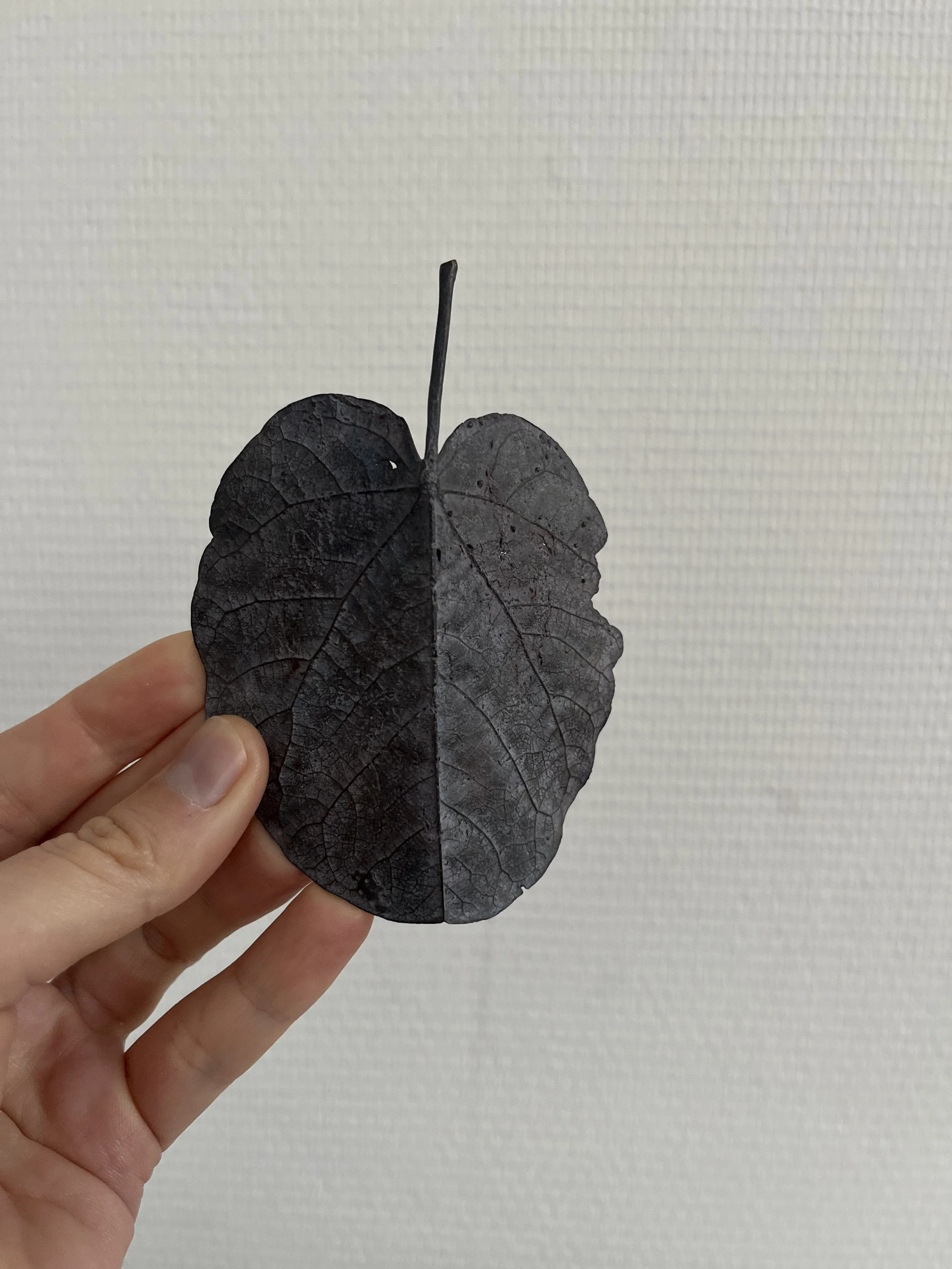 09_blue-leaf_judas_05.jpg
