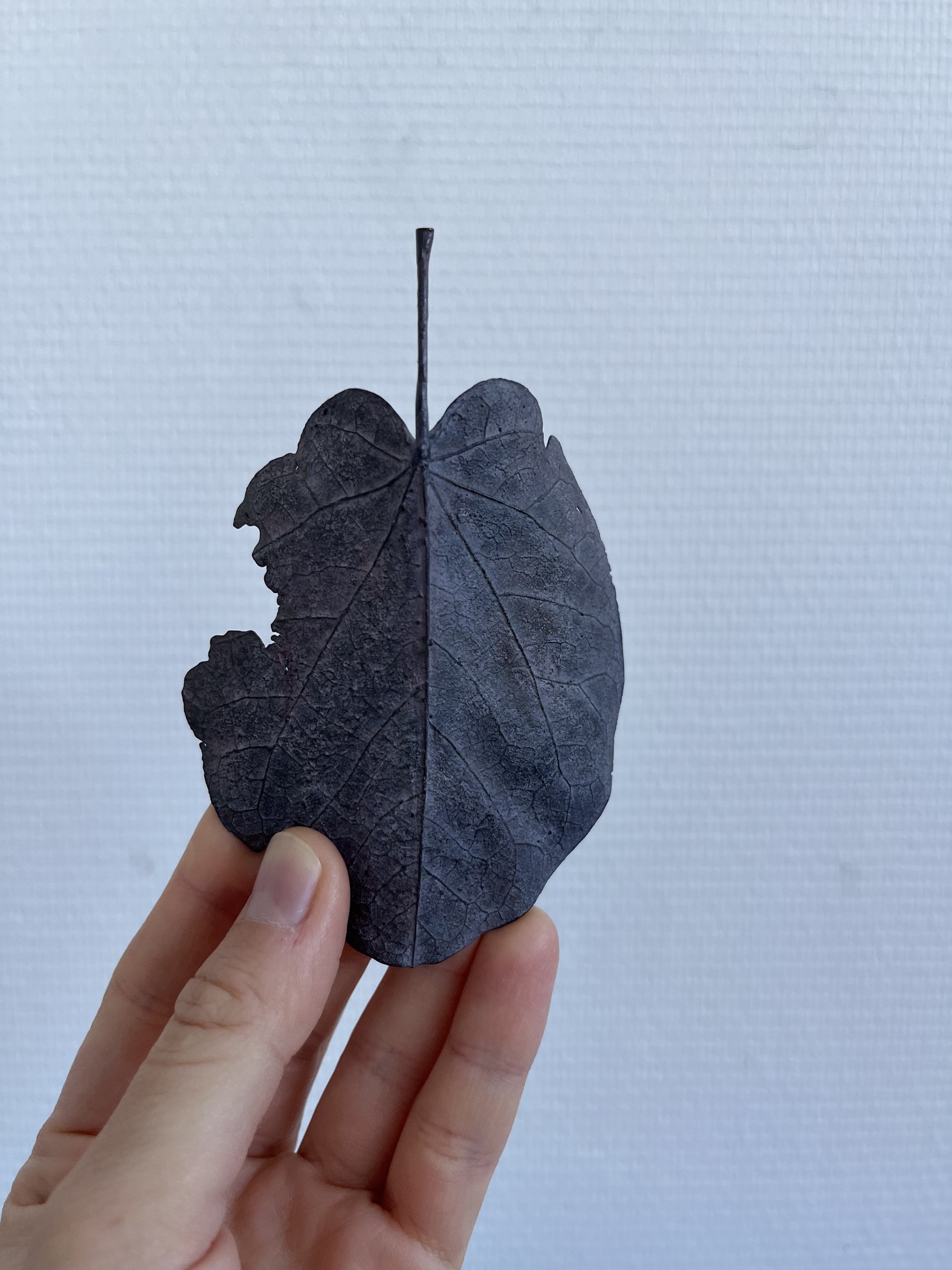 08_blue-leaf_judas_001.jpg