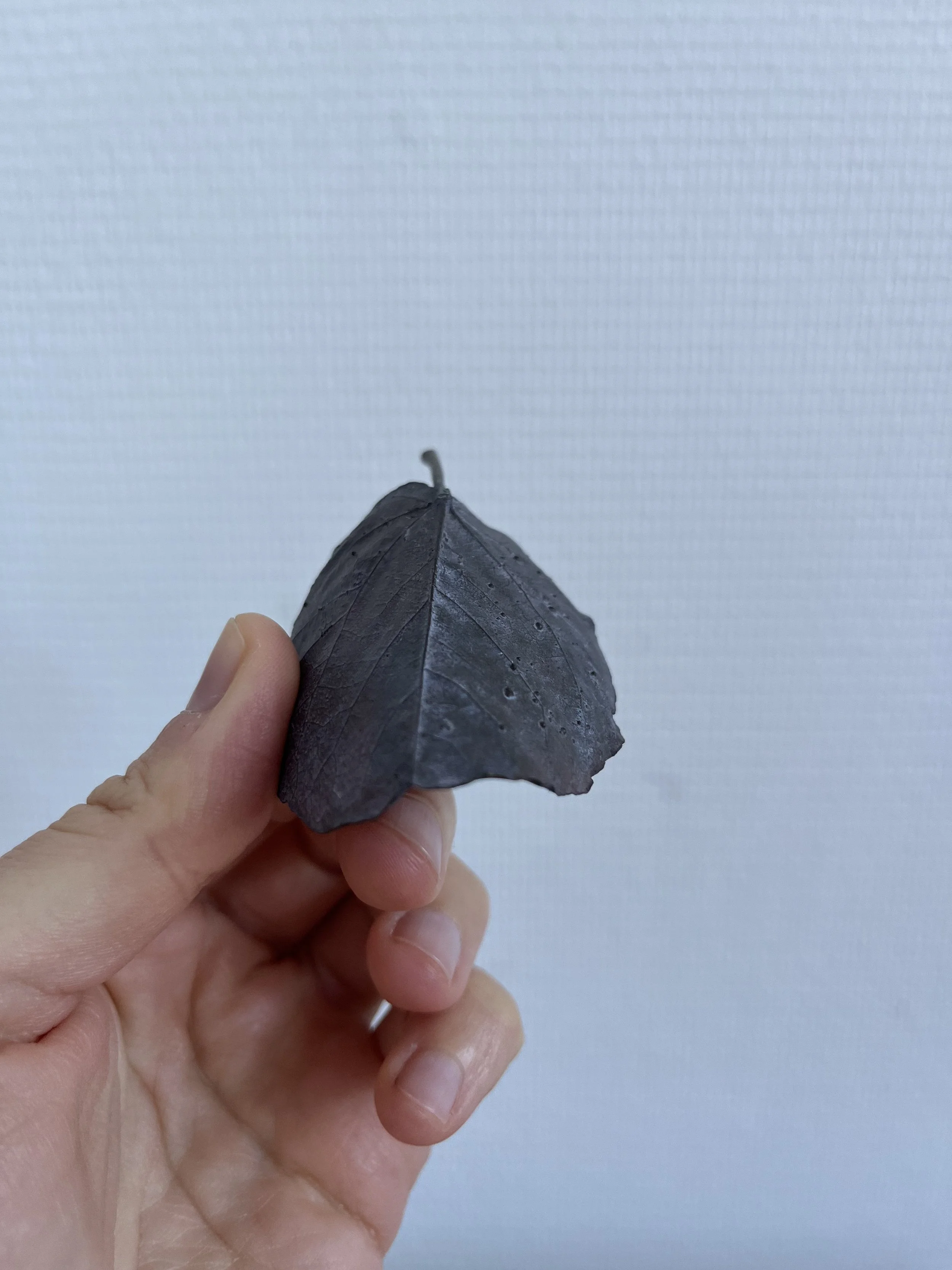 03_blue-leaf_judas_07.jpg