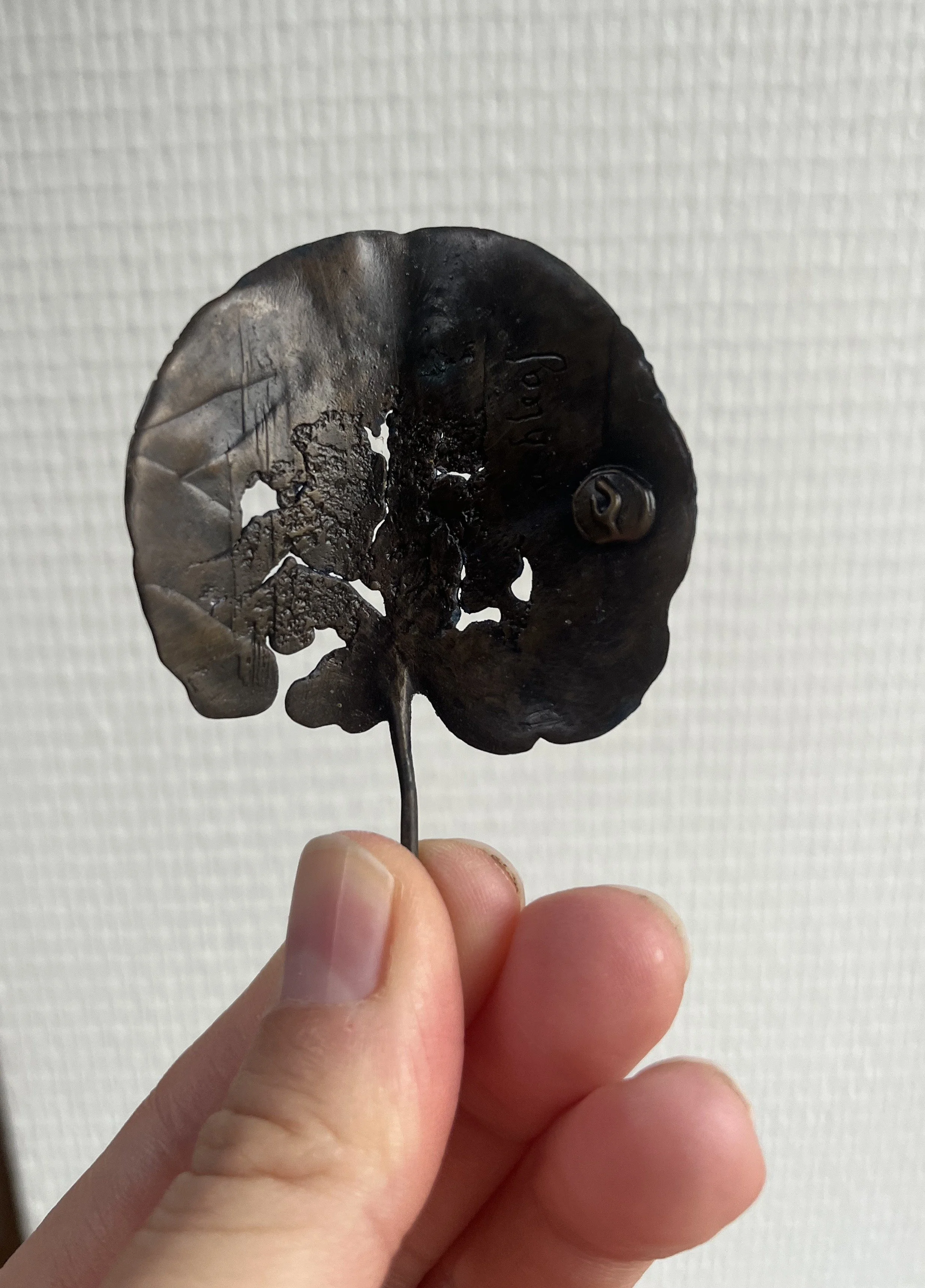 01_blue-leaf_judas_02.jpg
