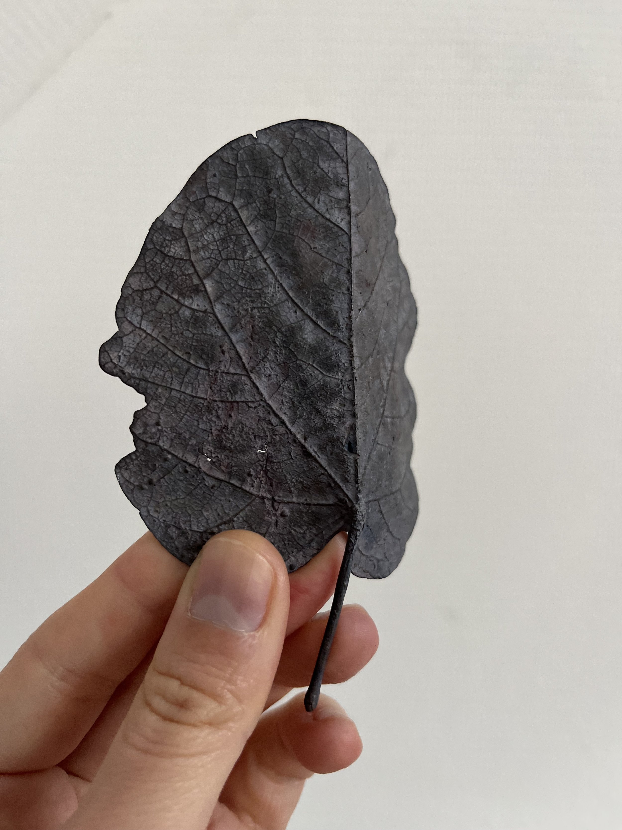 09_blue-leaf_judas_10.jpg