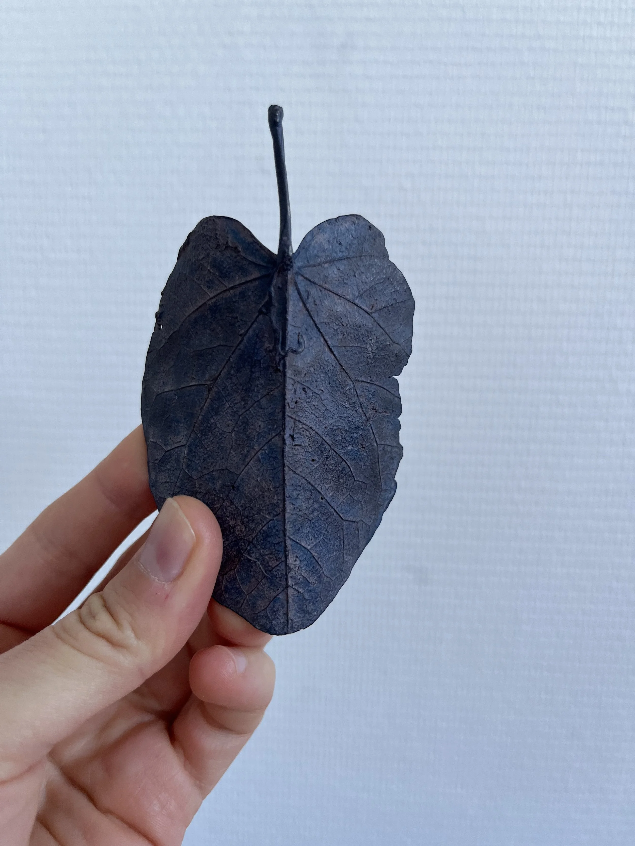 04_blue-leaf_judas_07.jpg