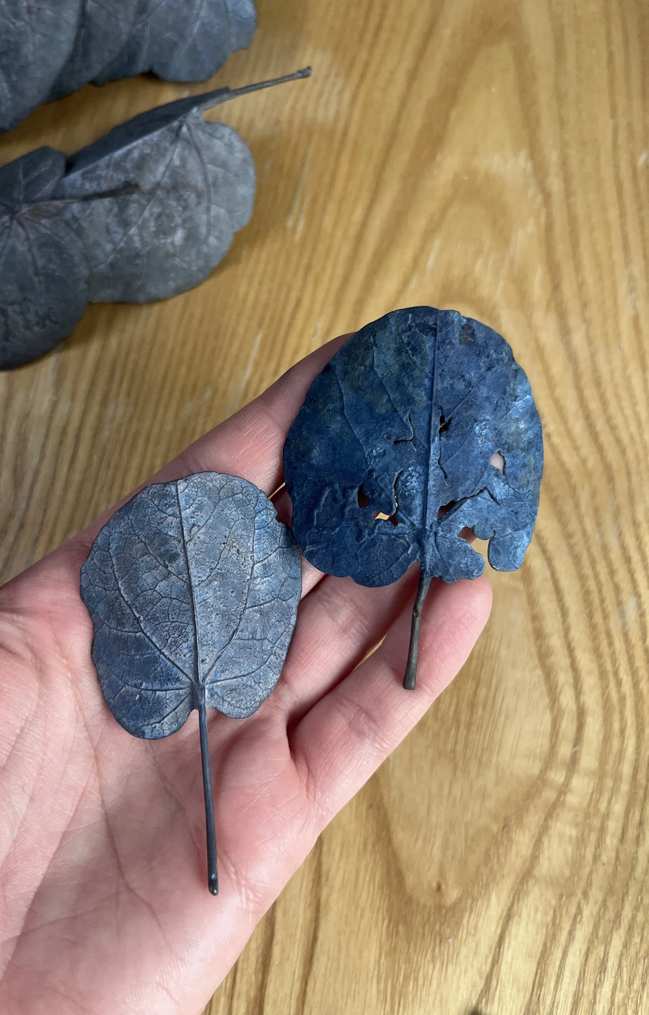 01-2_blue-leaf_judas_02.jpg
