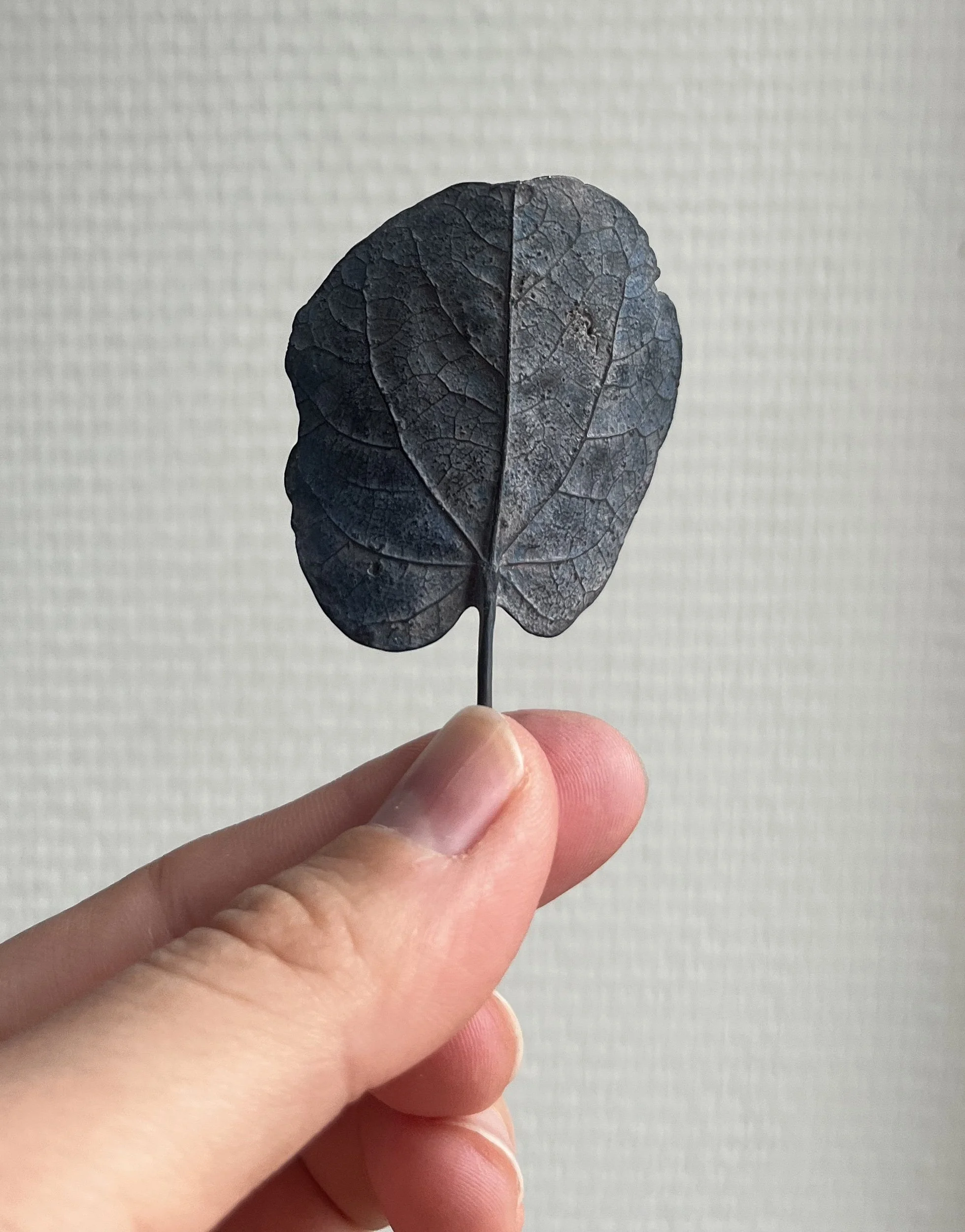 02_blue-leaf_judas_02.jpg