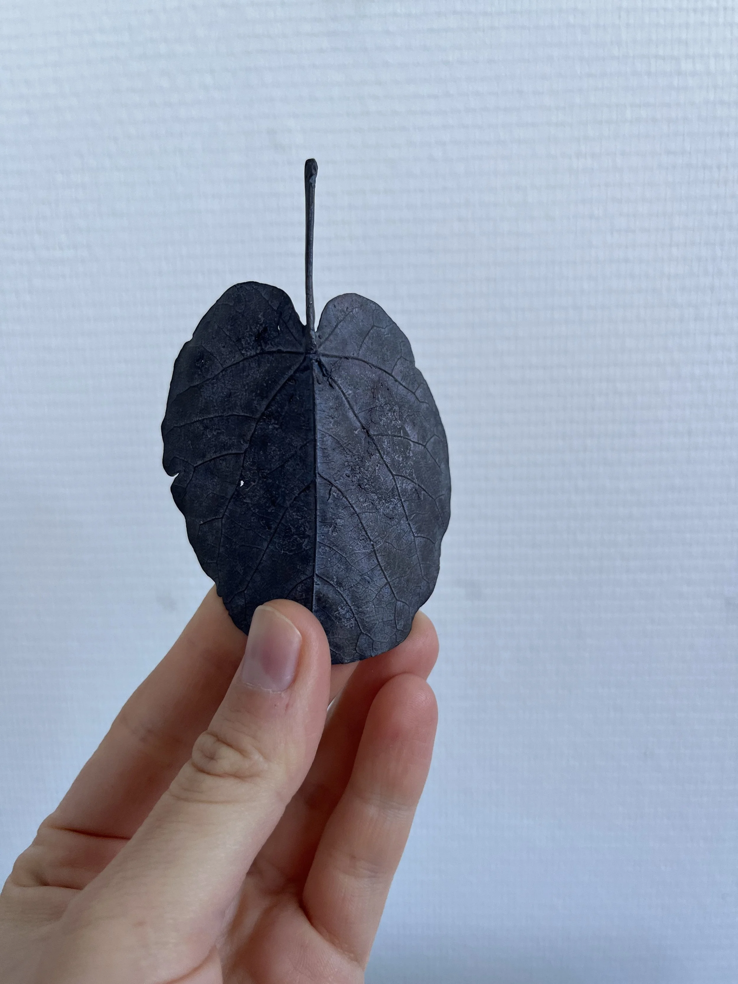 05_blue-leaf_judas_02.jpg