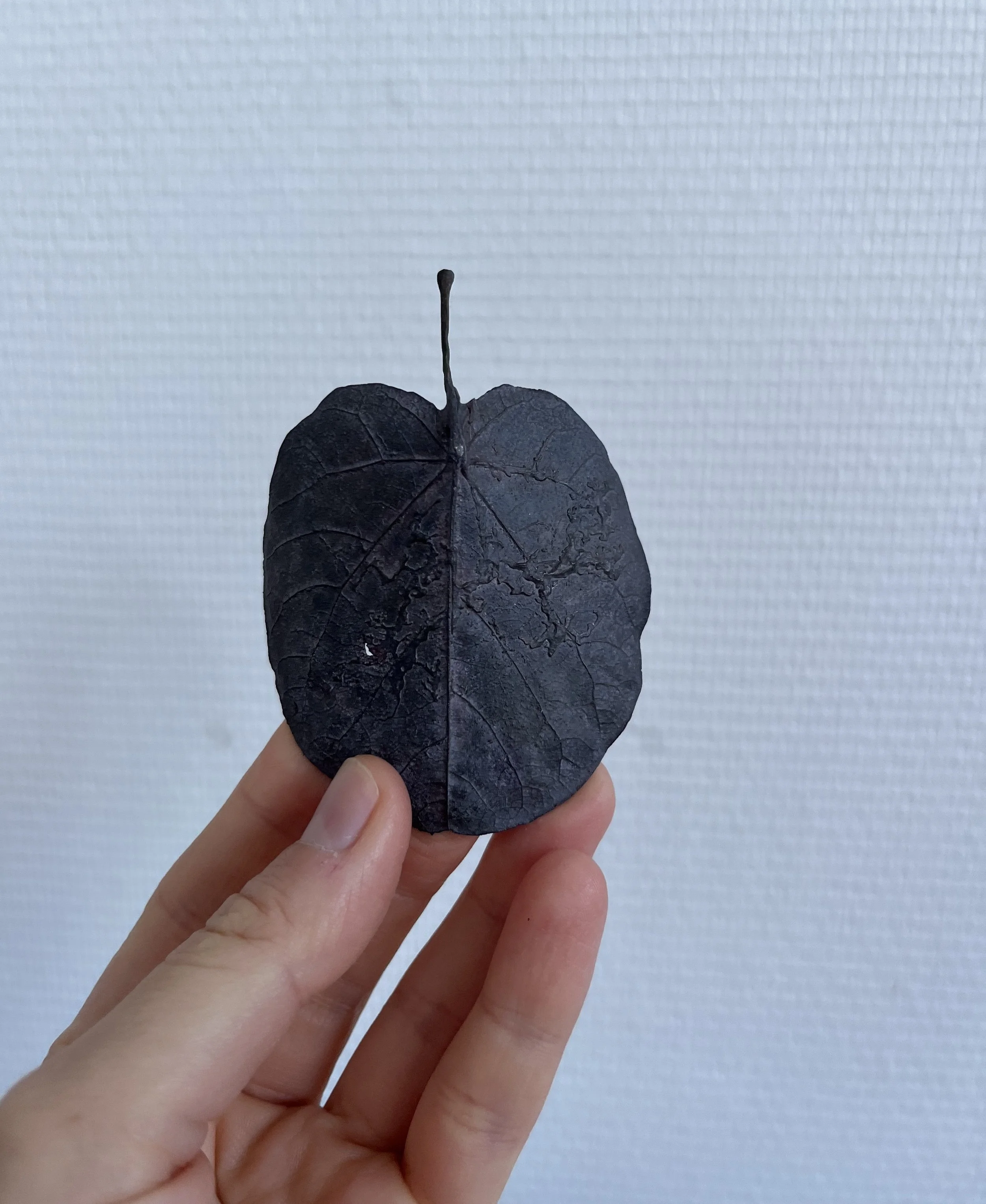 06_blue-leaf_judas_06.jpg