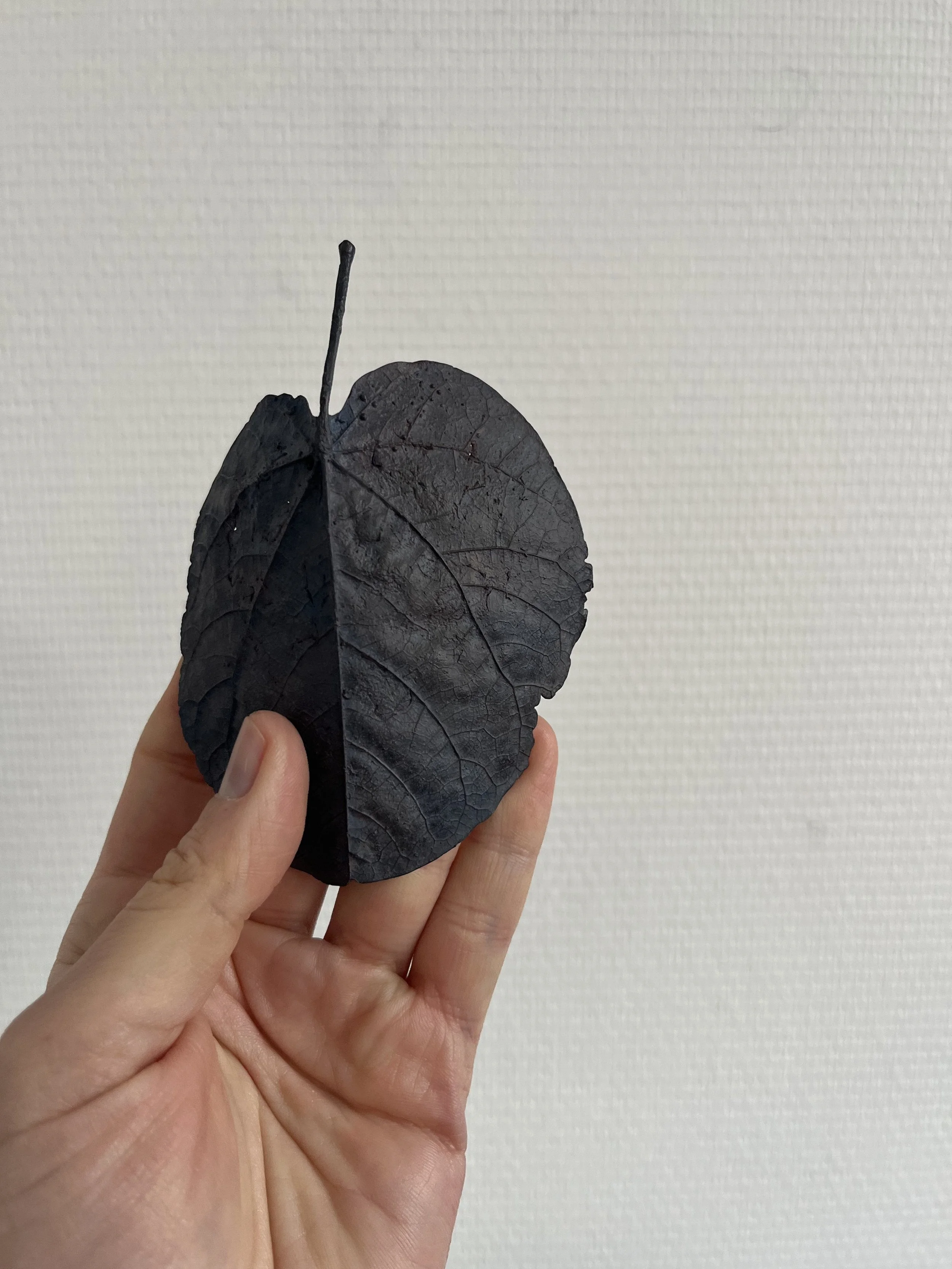 10_blue-leaf_judas_04.jpg