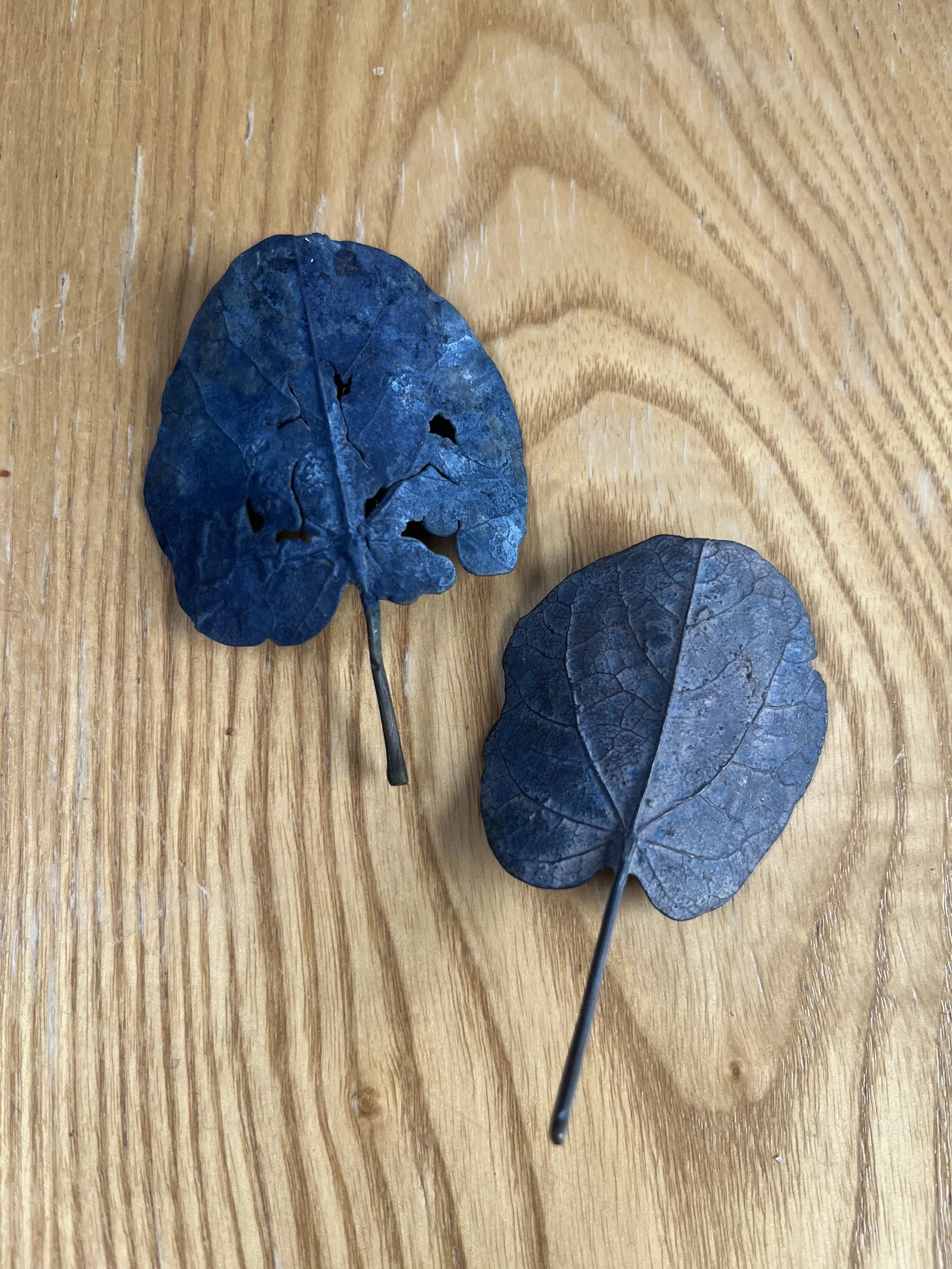 01-2_blue-leaf_judas_03.jpg