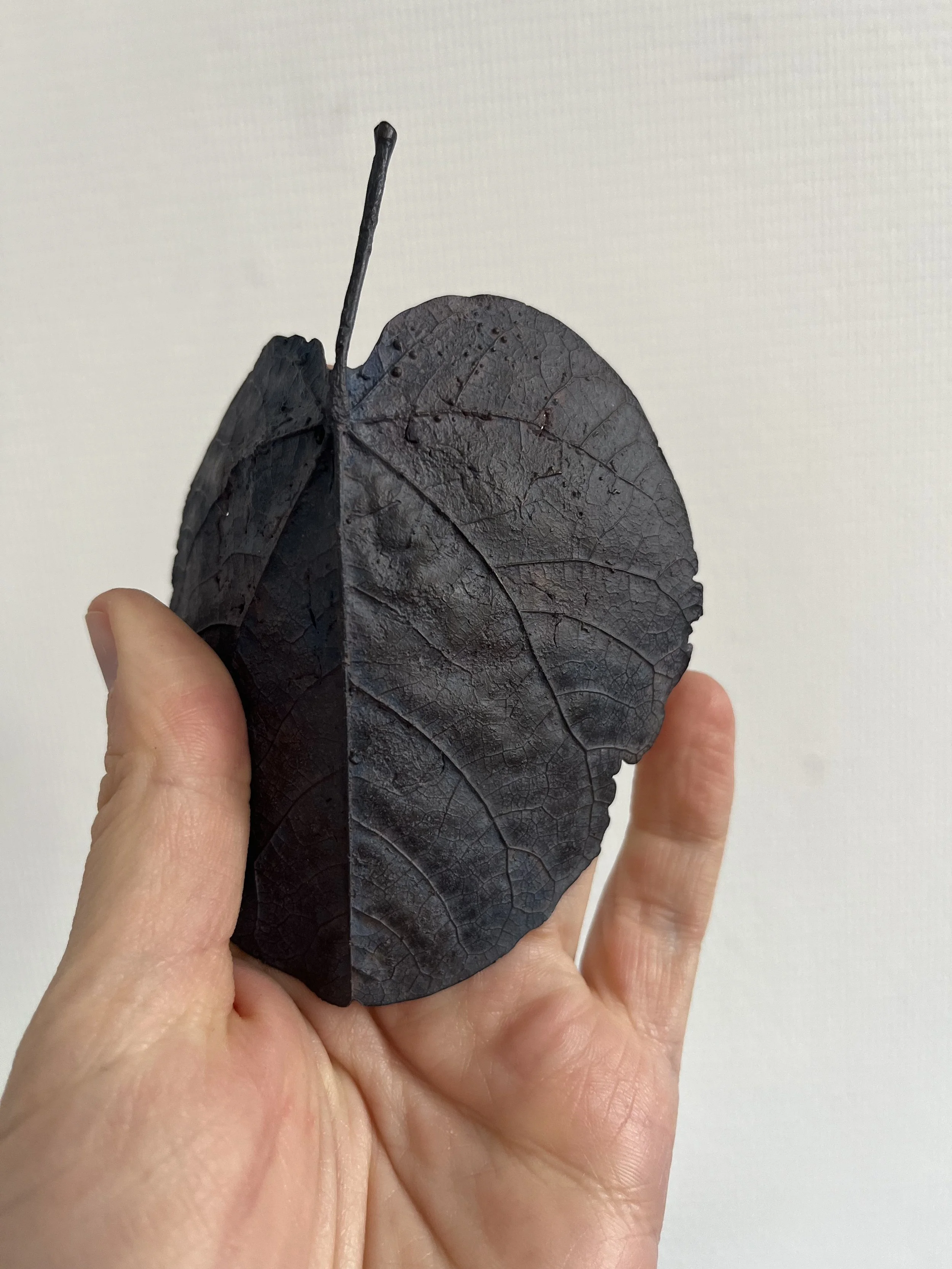 10_blue-leaf_judas_09.jpg