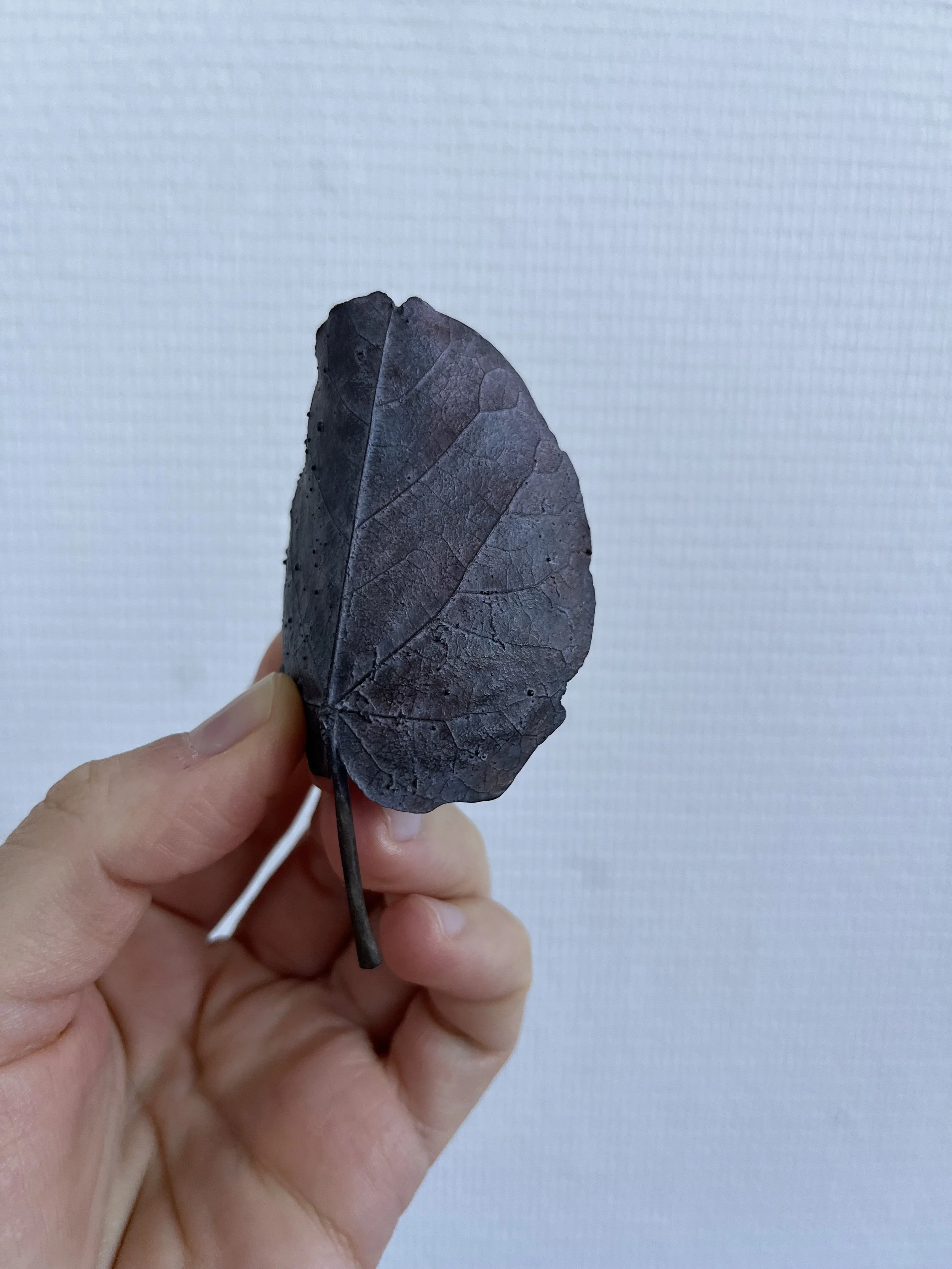 03_blue-leaf_judas_03.jpg