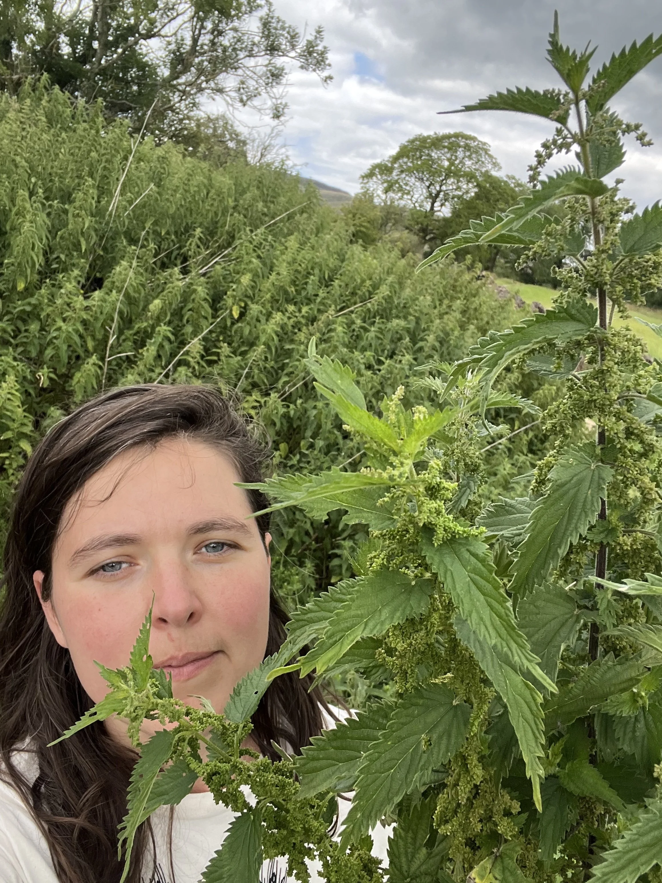 nettle_workshop_14.jpg (Copy) (Copy)