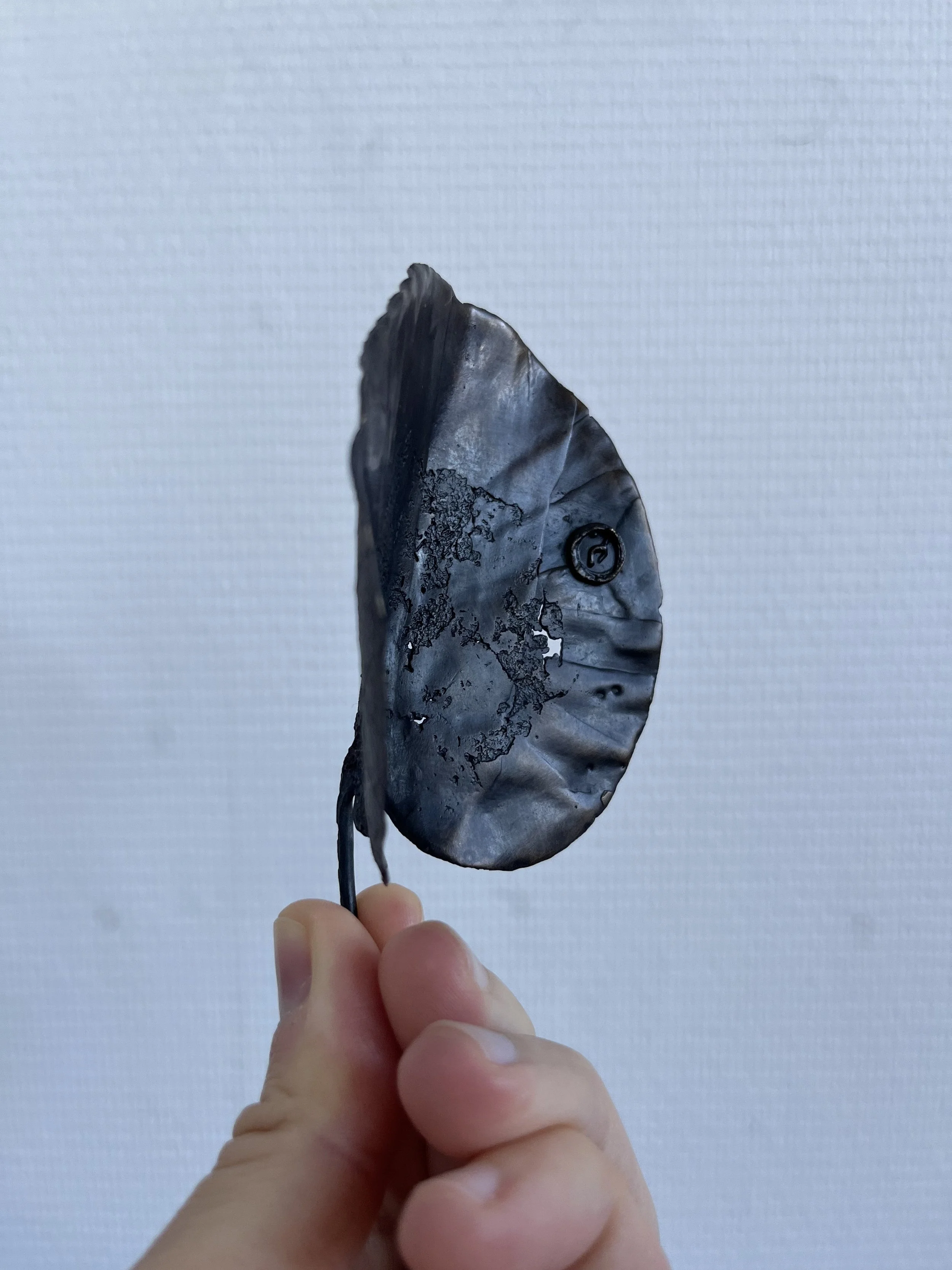 11_blue-leaf_judas_04.jpg
