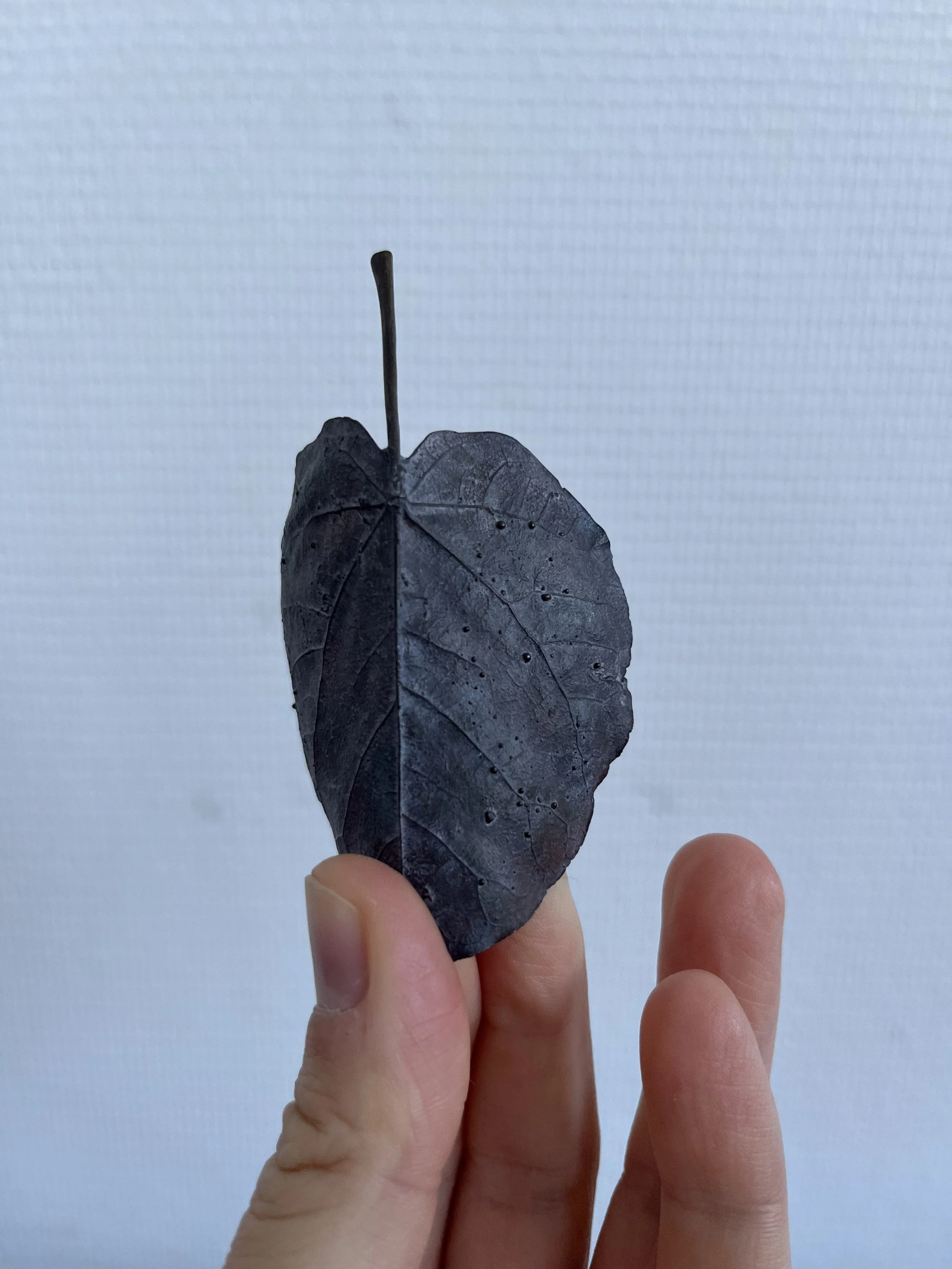 03_blue-leaf_judas_06.jpg