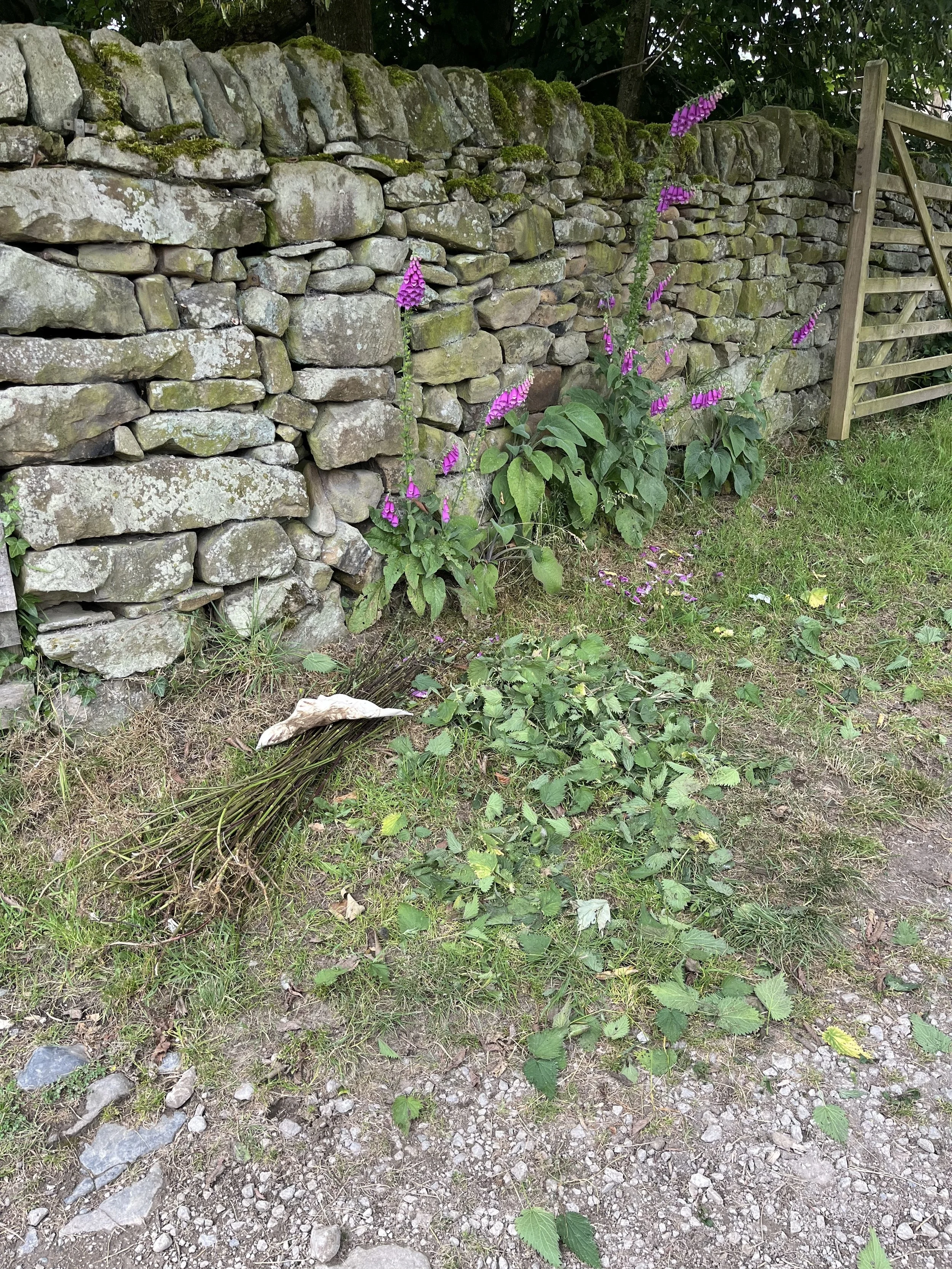 nettle_workshop_07.jpg (Copy) (Copy)