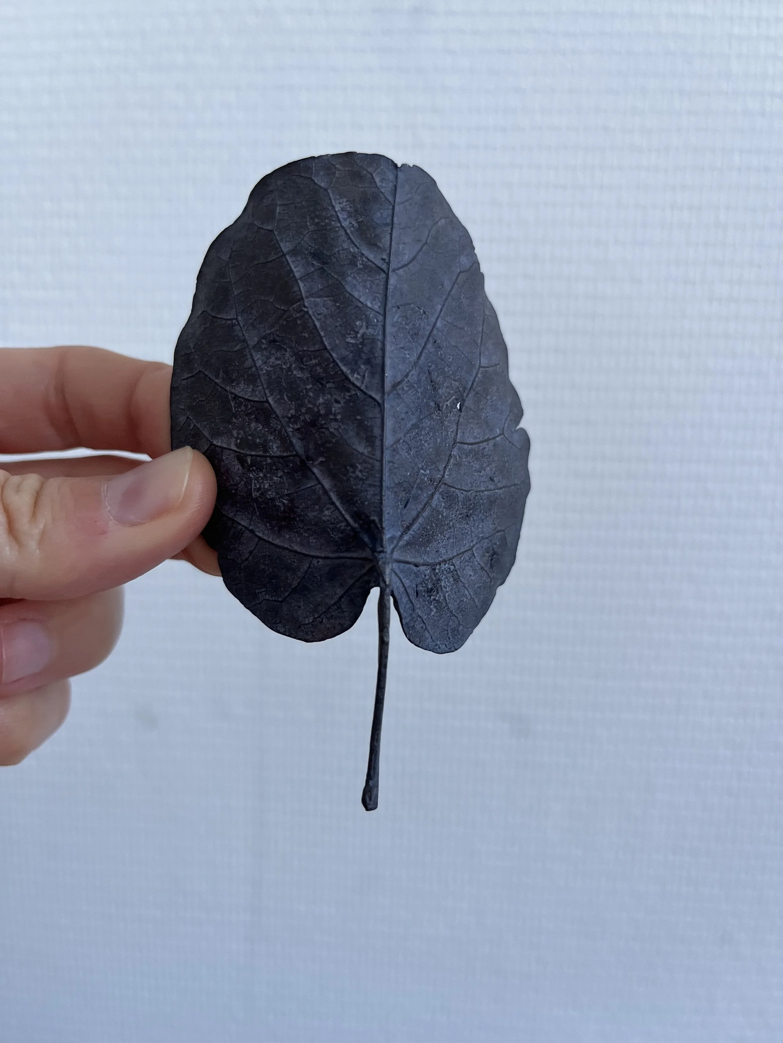 05_blue-leaf_judas_01.jpg