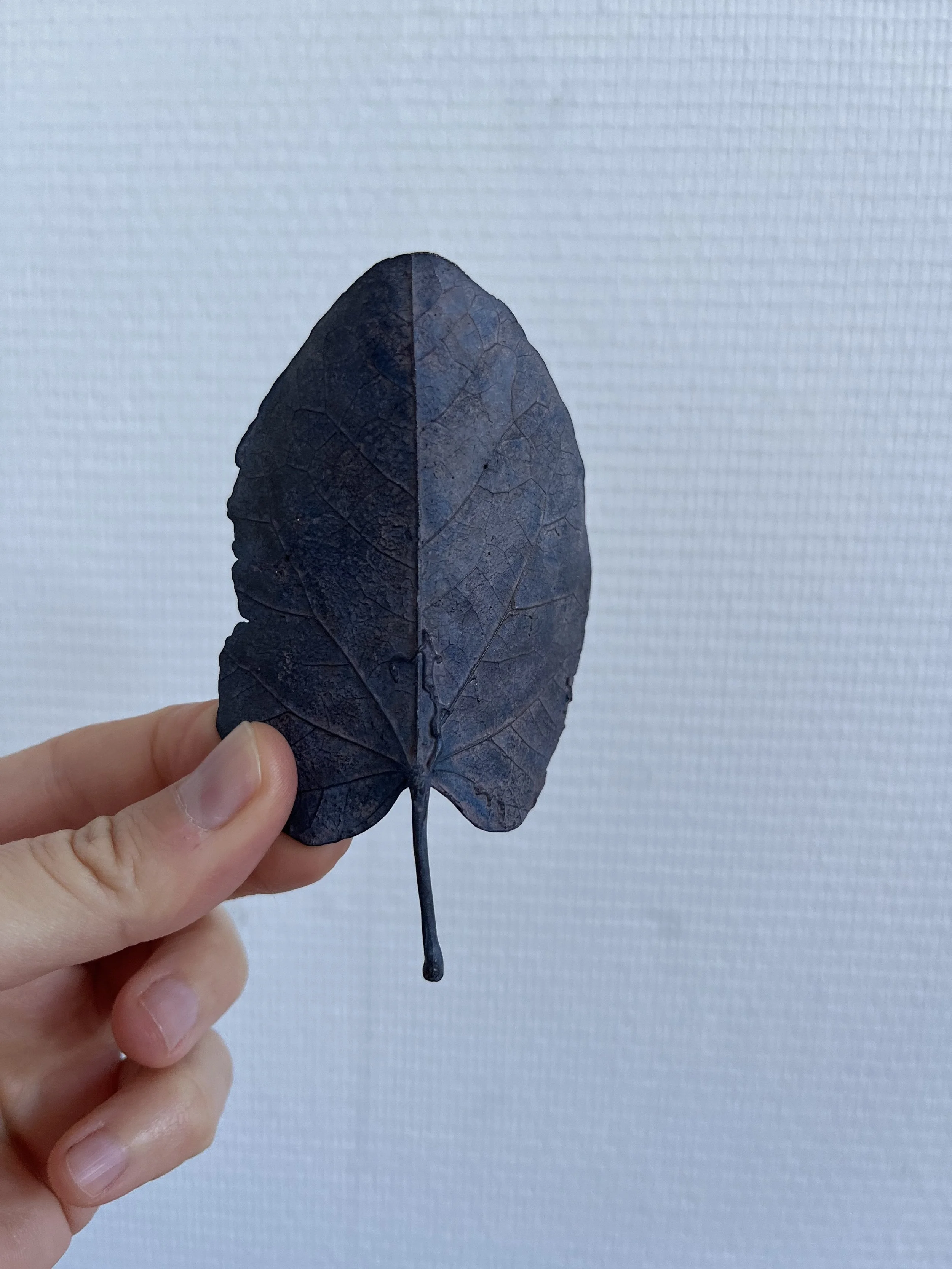 04_blue-leaf_judas_01.jpg
