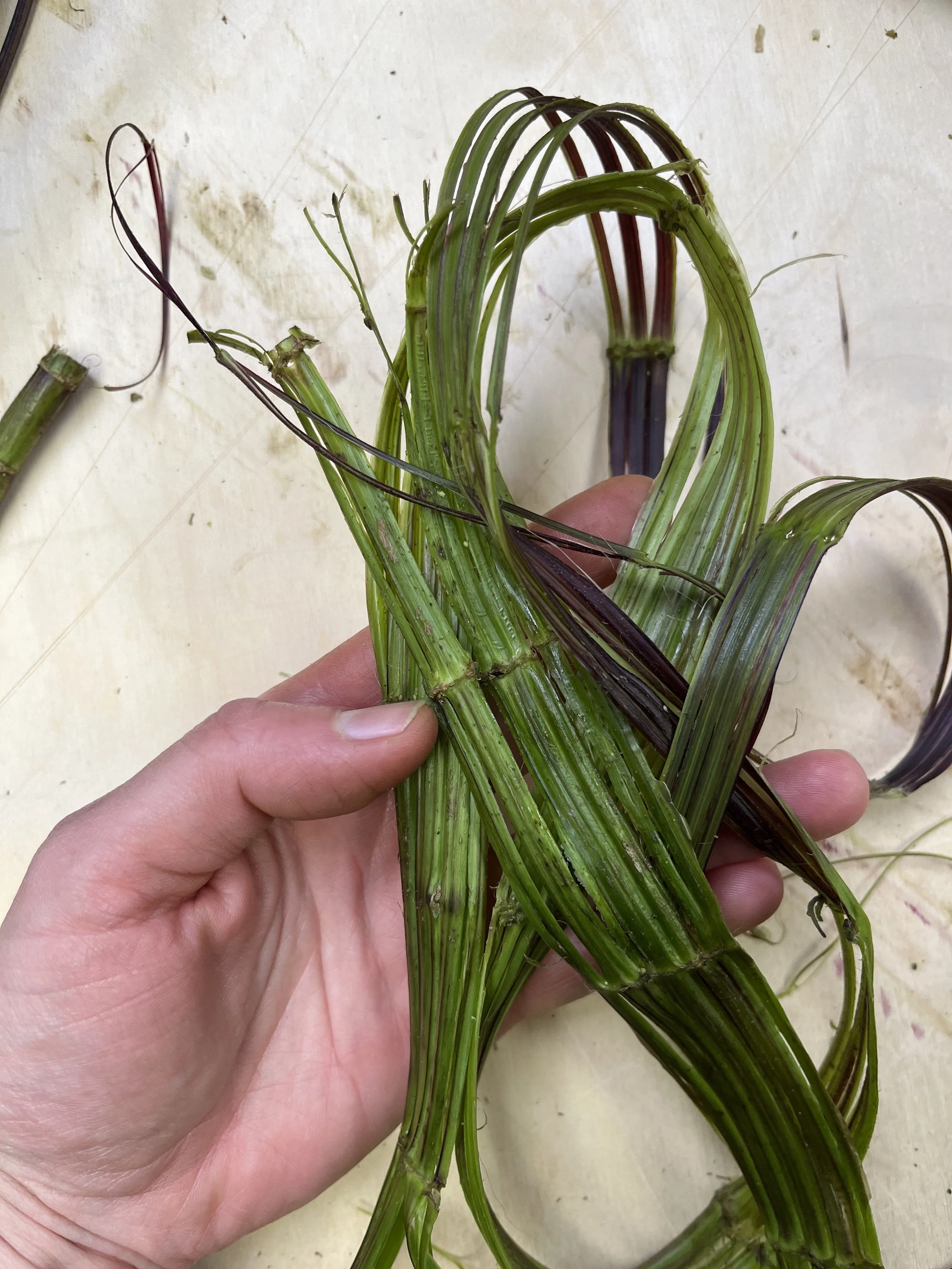 nettle_workshop_04.jpg (Copy)